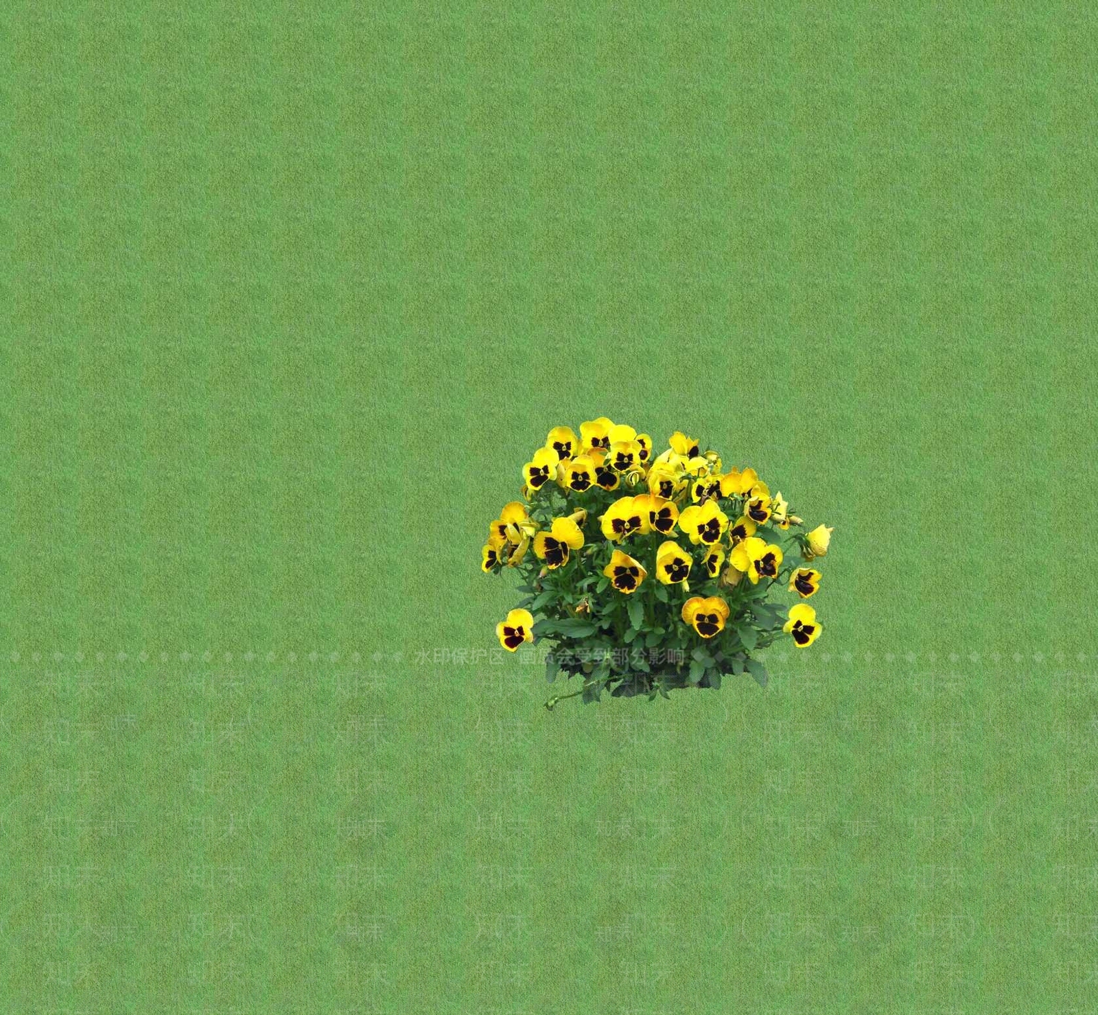 2D花草SU模型下载【ID:1201401597】