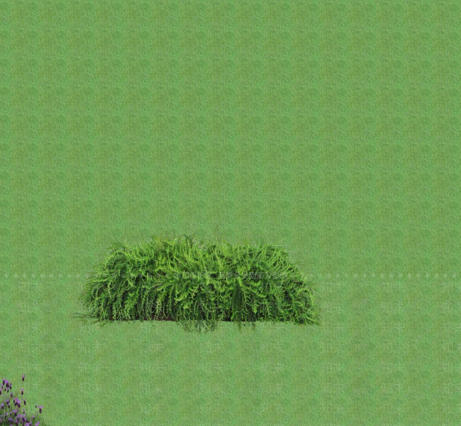 2D花草SU模型下载【ID:1201401612】