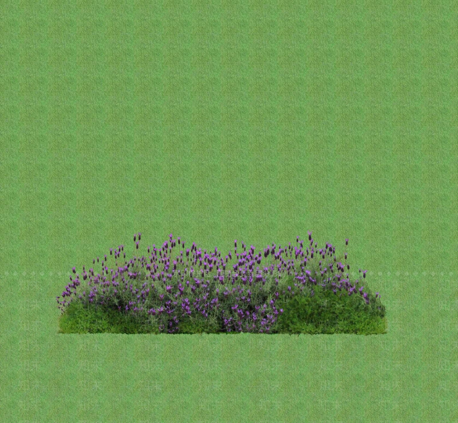 2D花草SU模型下载【ID:1201401656】