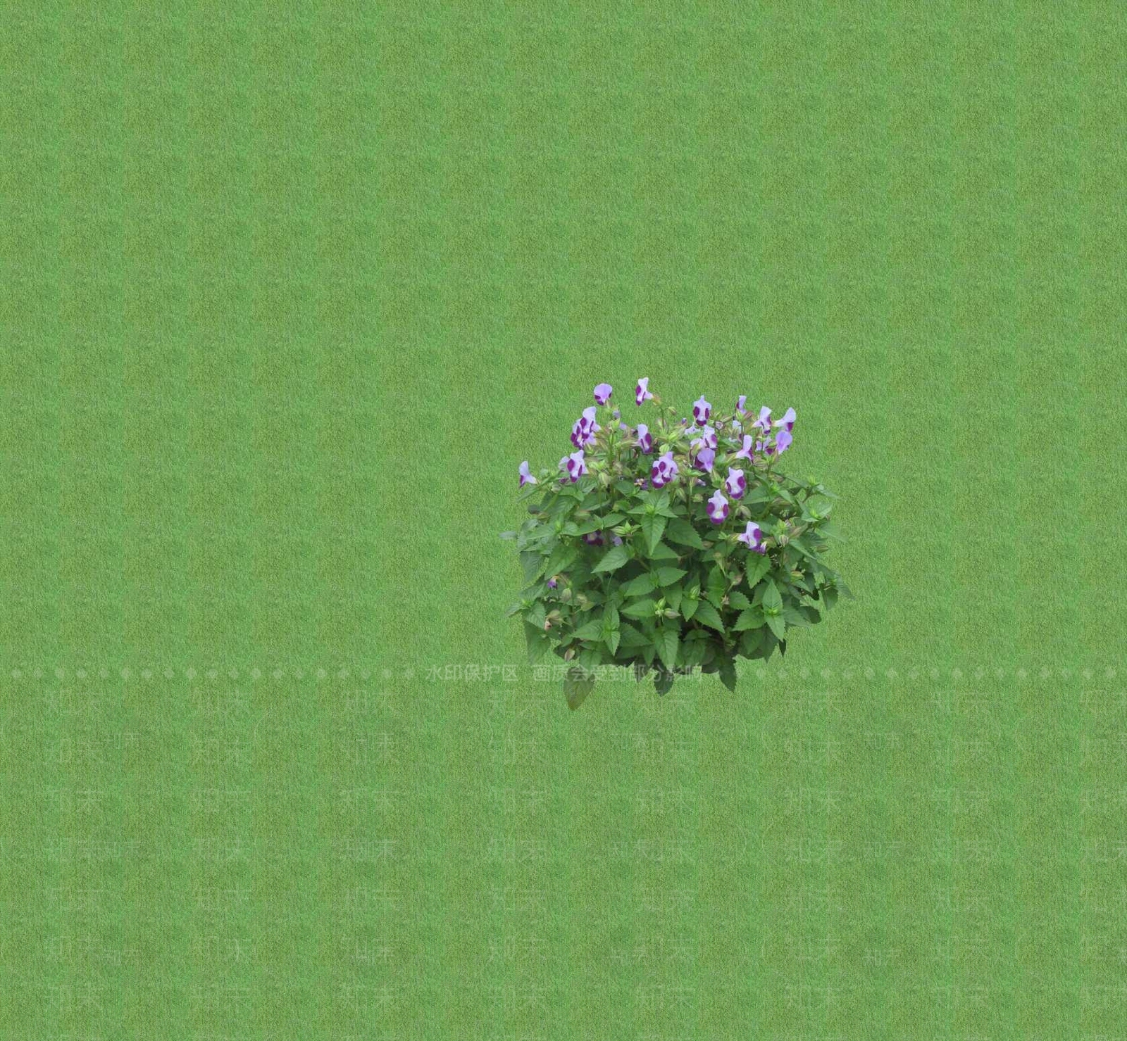 2D花草SU模型下载【ID:1201401883】