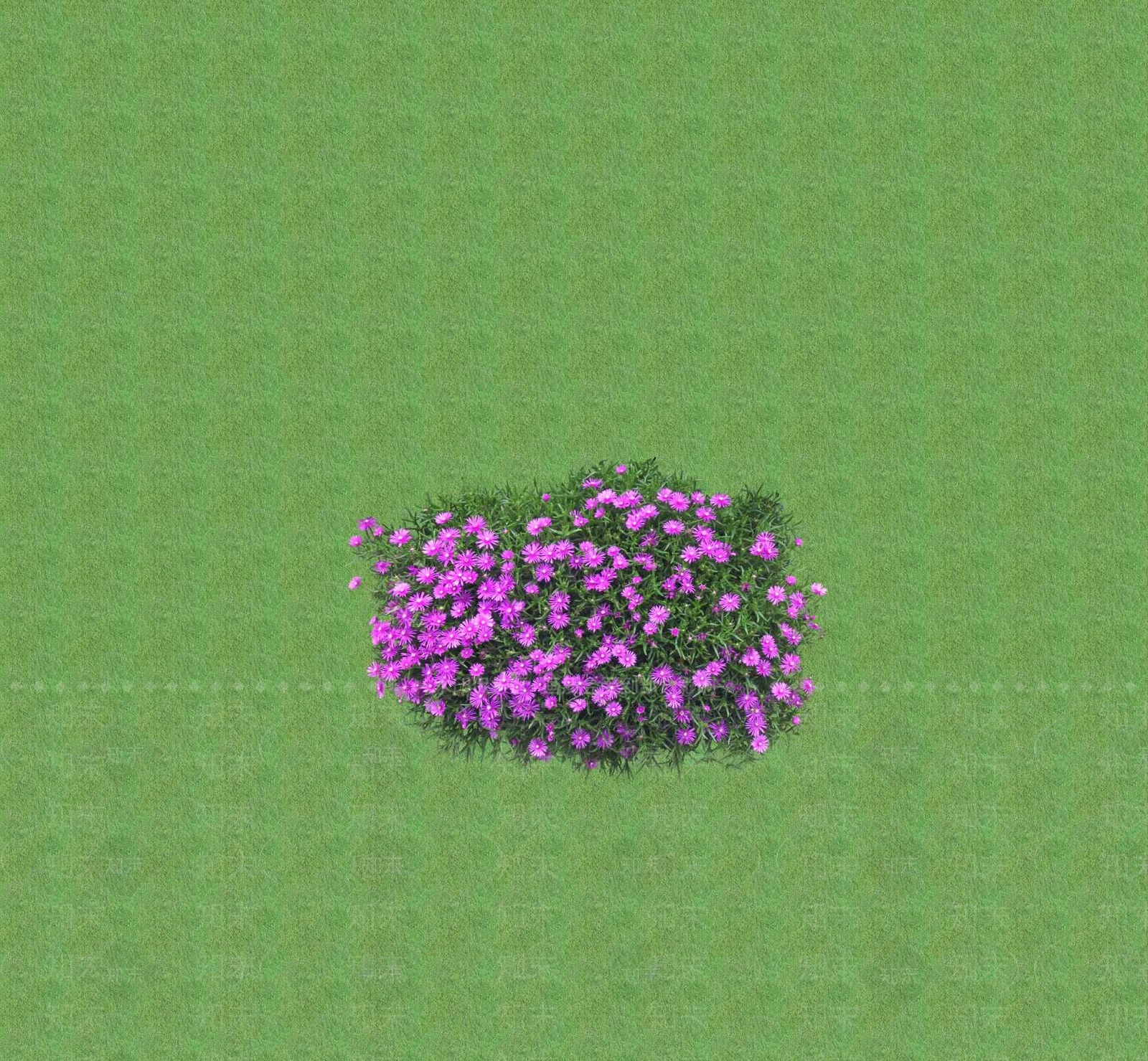 2D花草SU模型下载【ID:1201401875】