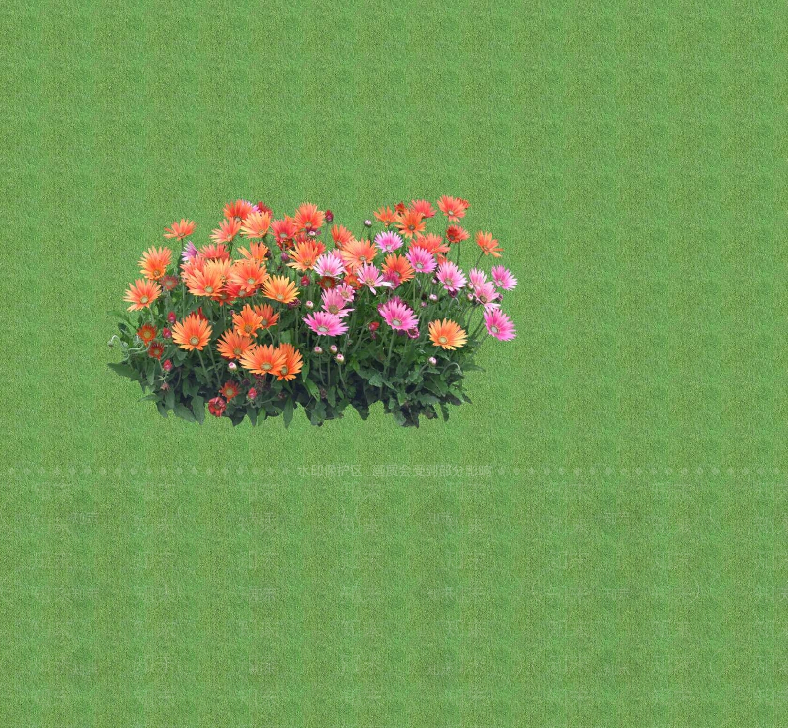 2D花草SU模型下载【ID:1201401923】