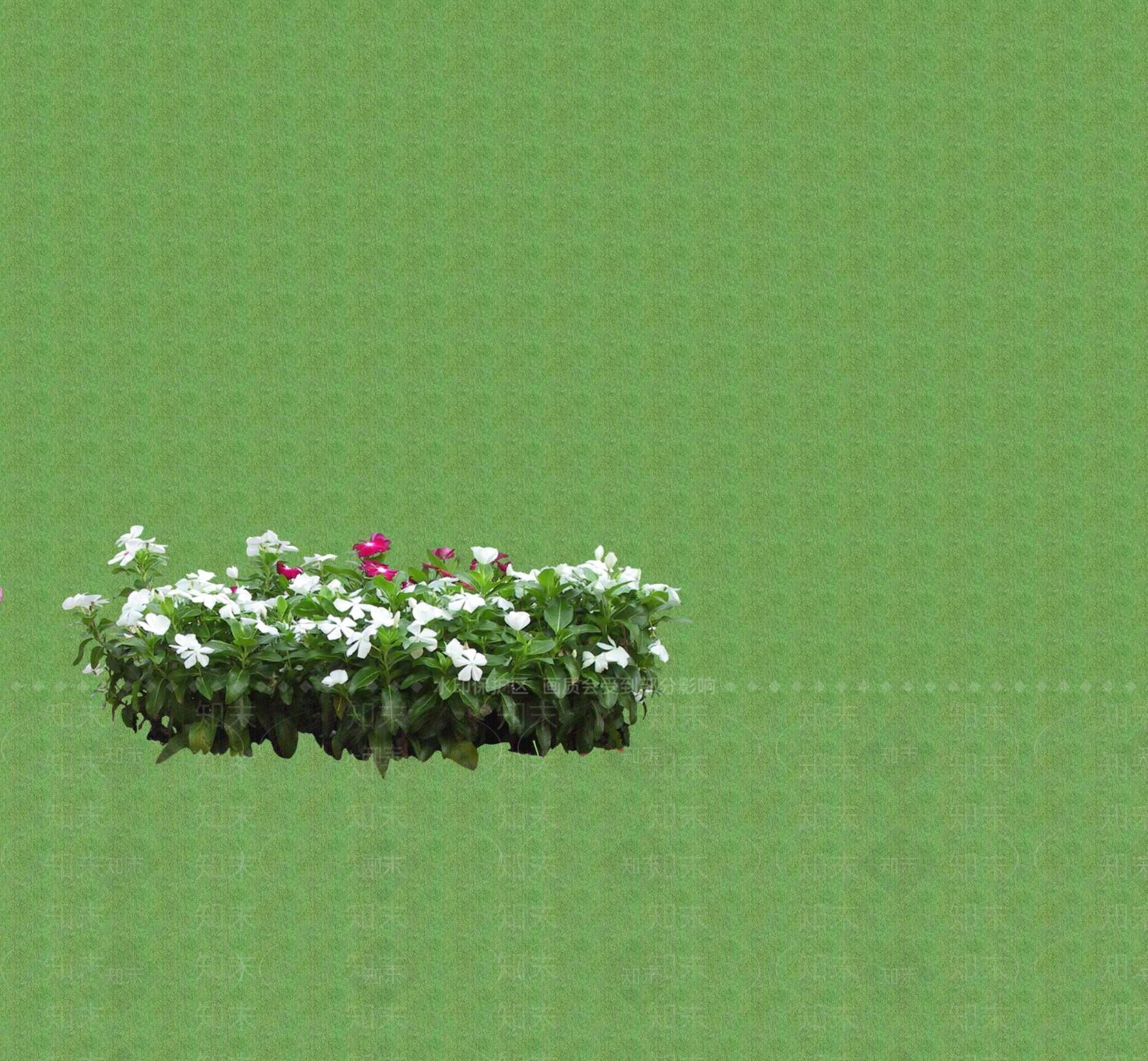 2D花草SU模型下载【ID:1201401909】