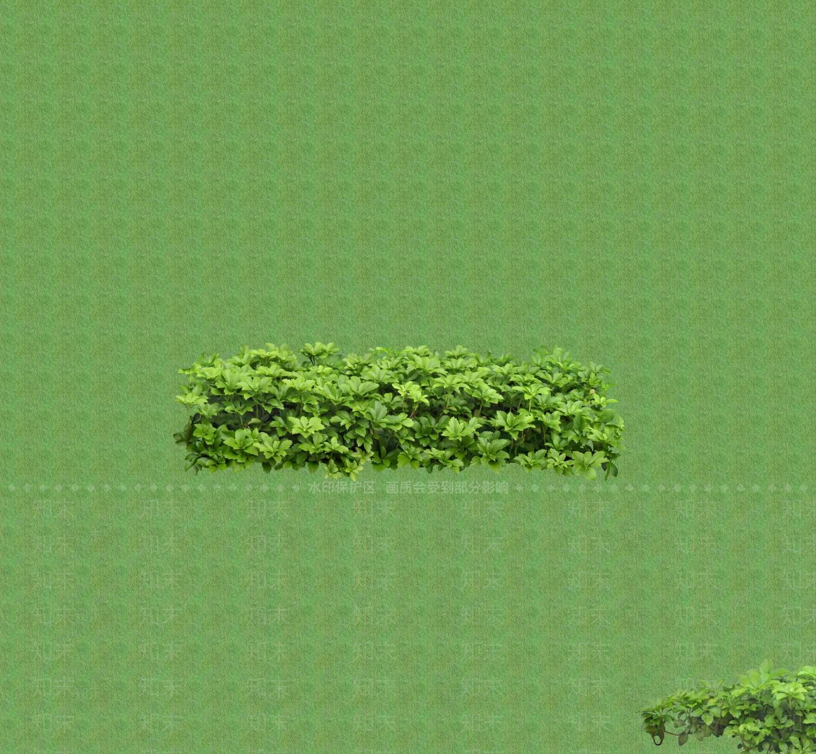 2D花草SU模型下载【ID:1201402152】