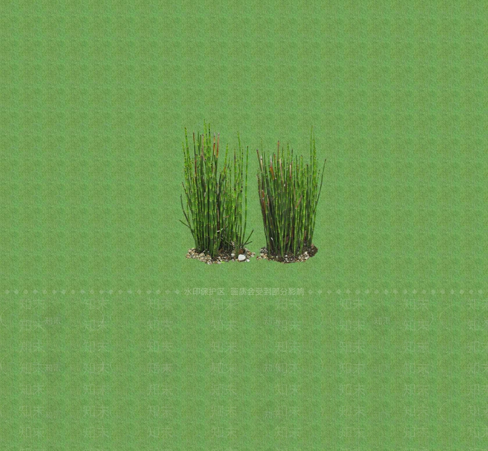 2D花草SU模型下载【ID:1201402432】