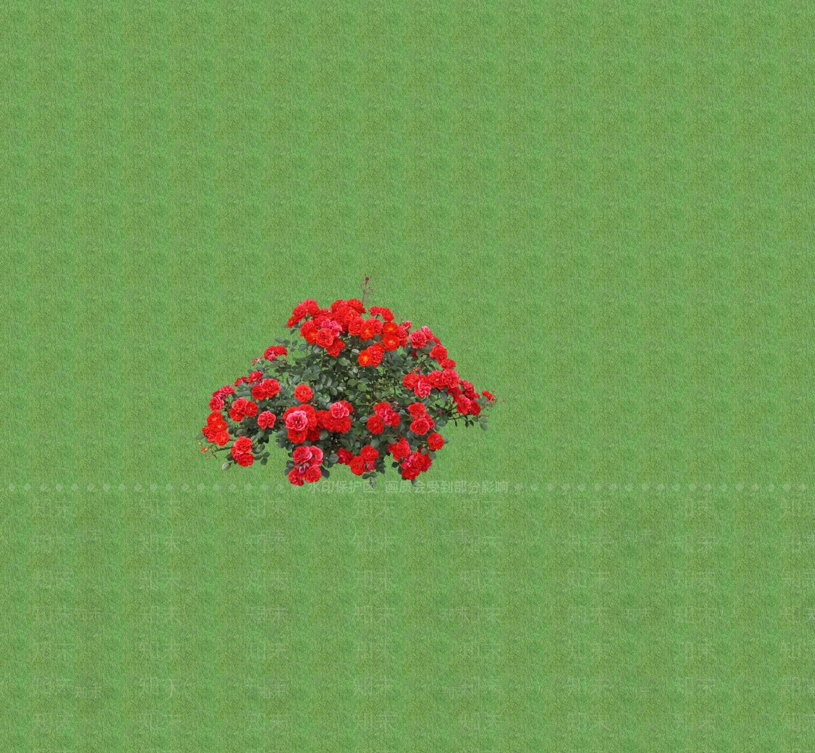 2D花草SU模型下载【ID:1201402522】