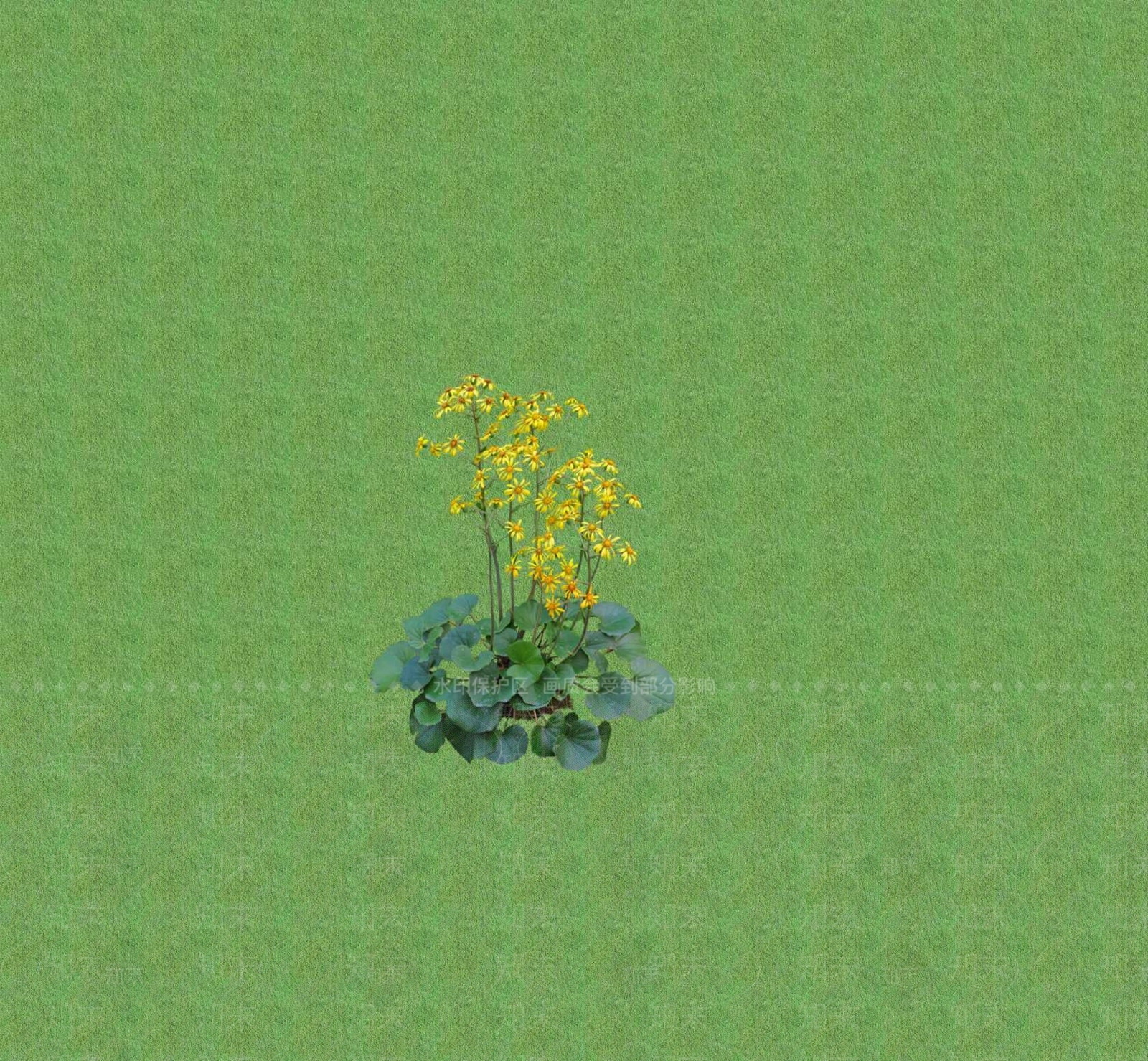 2D花草SU模型下载【ID:1201402509】