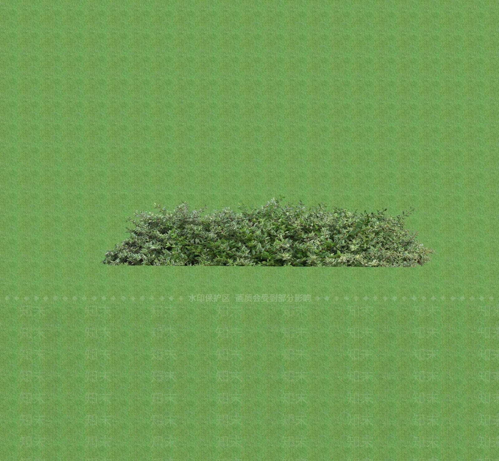 2D花草SU模型下载【ID:1201402811】