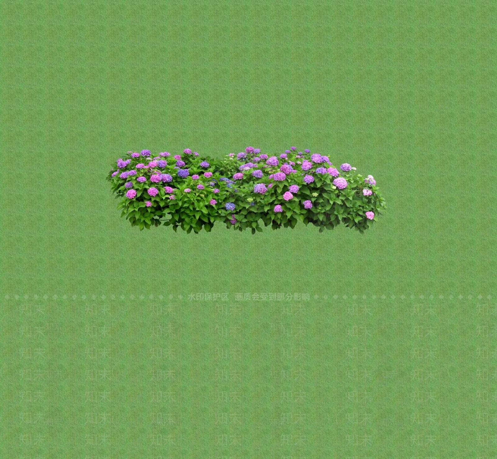 2D花草SU模型下载【ID:1201402833】