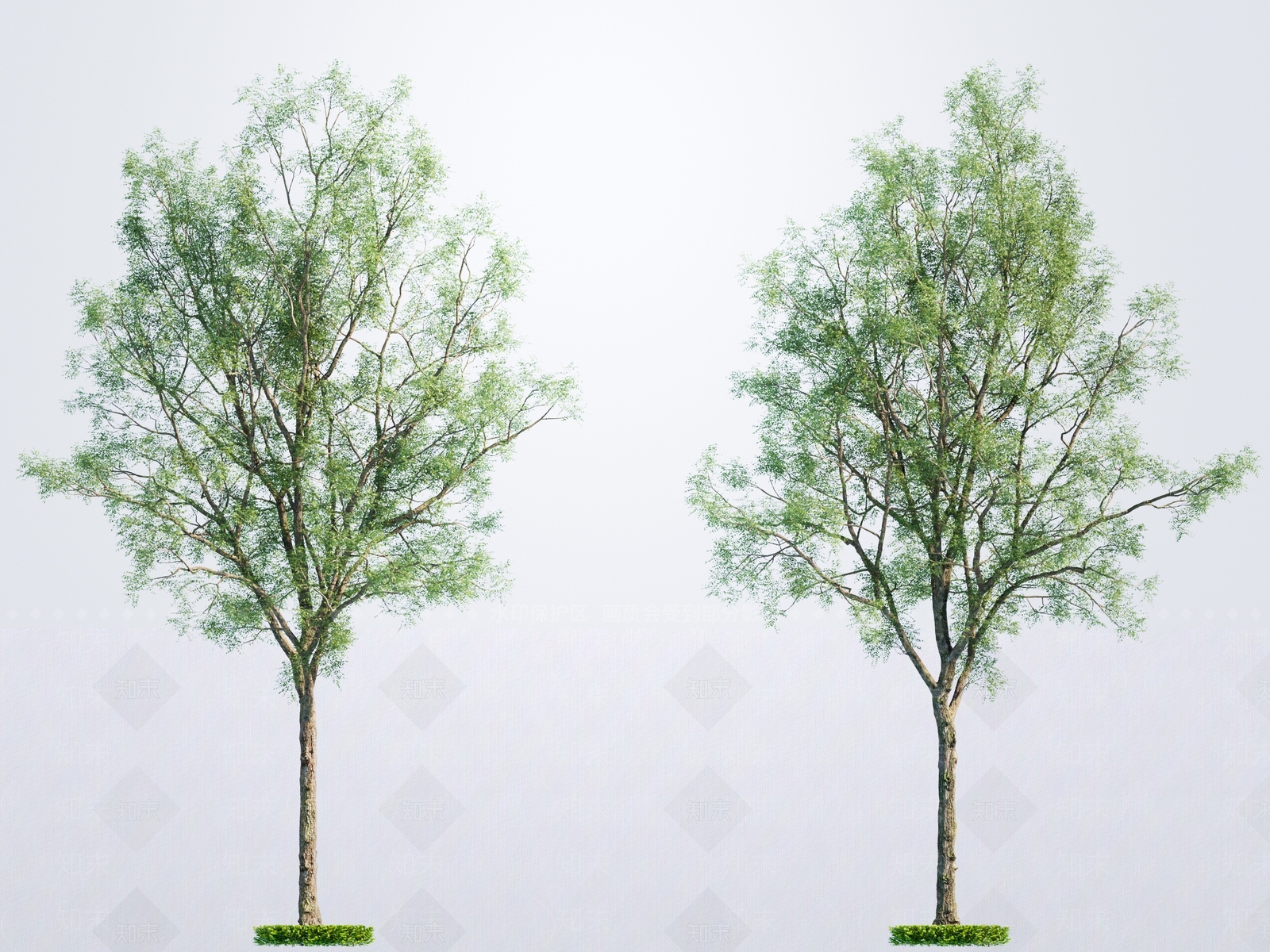 乔木3D模型下载【ID:1201418448】