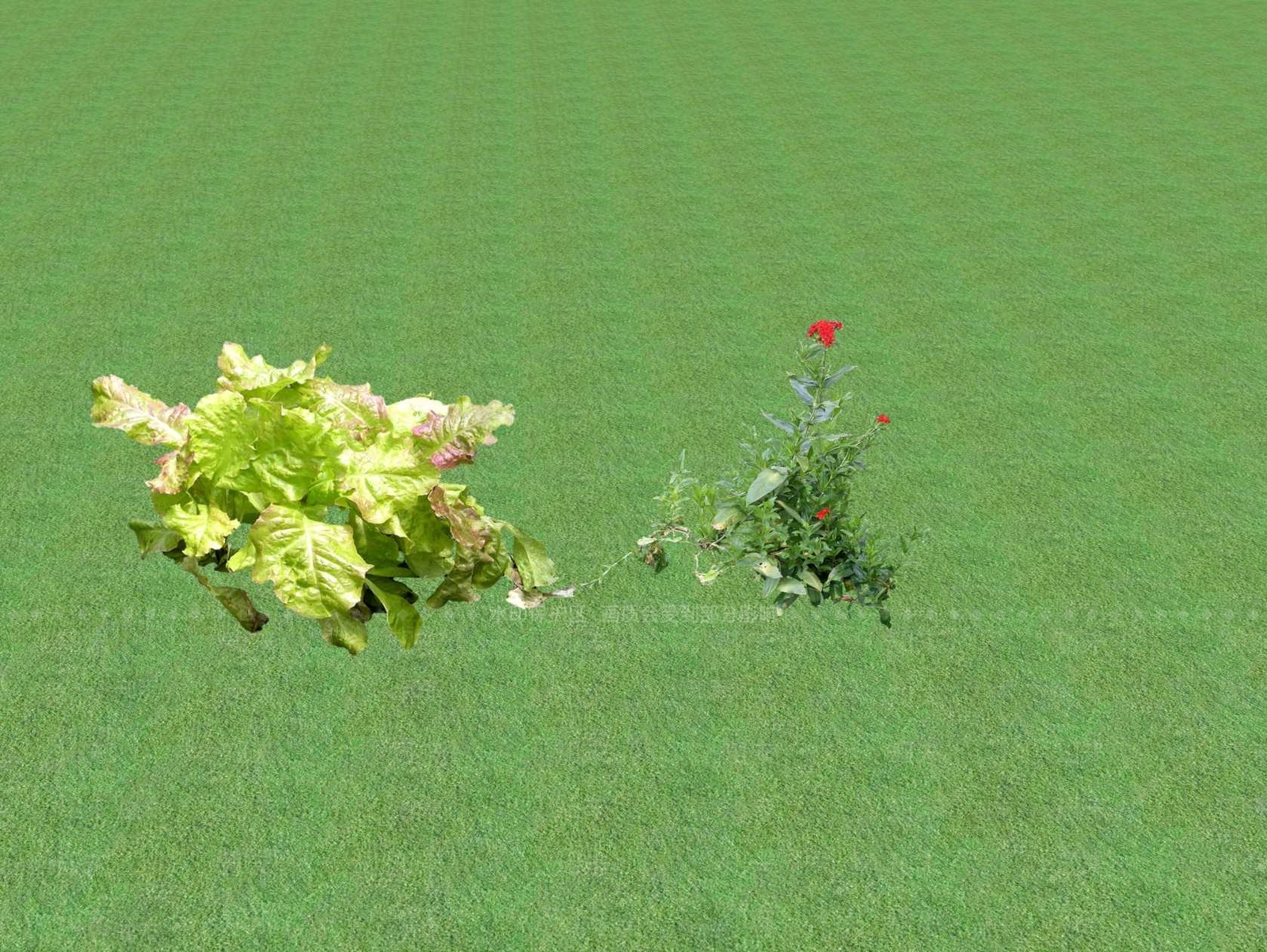 花草SU模型下载【ID:1201444375】