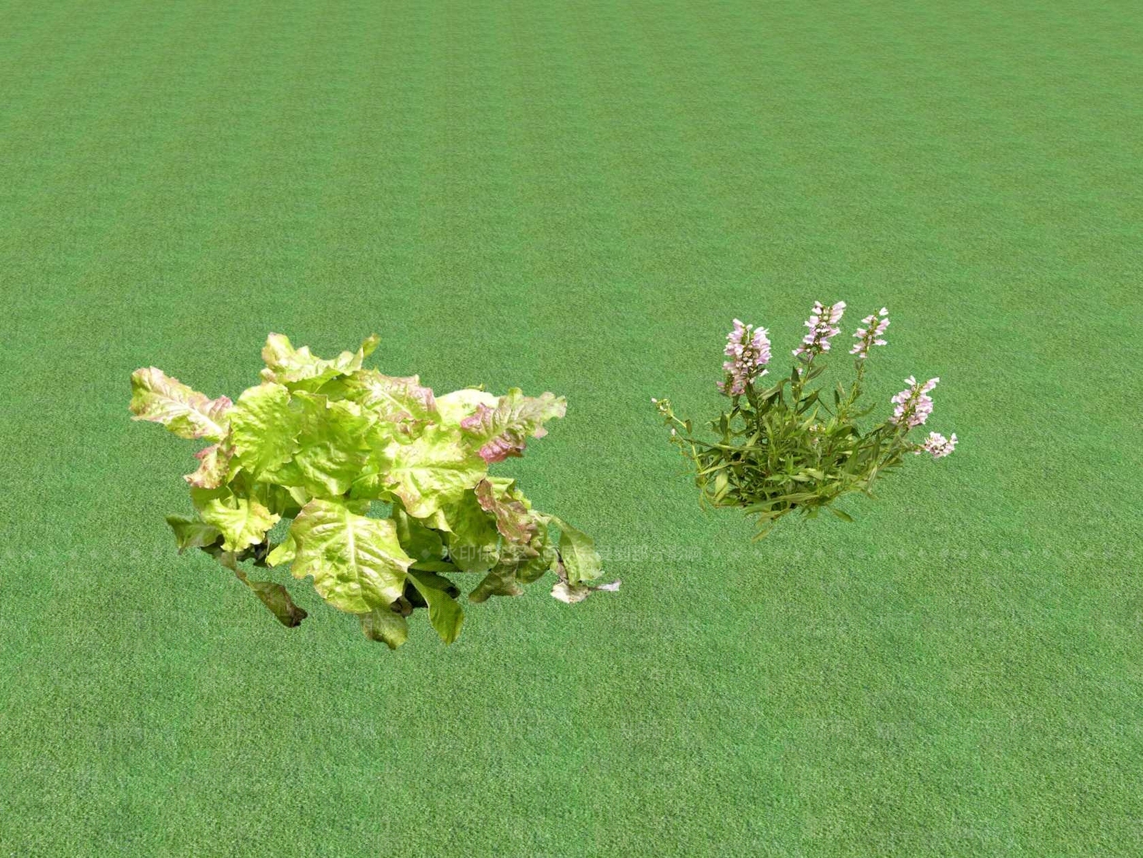 花草SU模型下载【ID:1201444573】