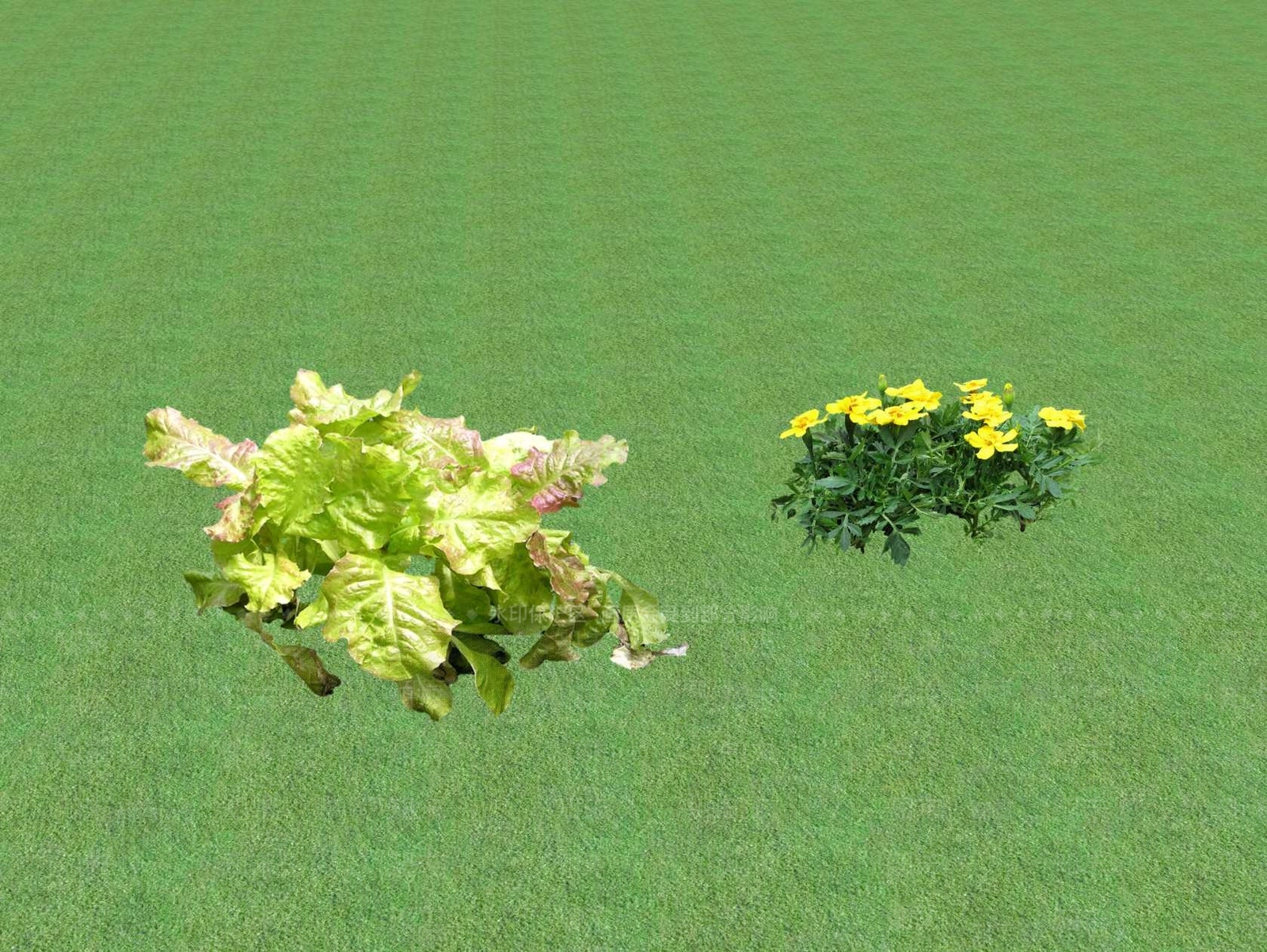 花草SU模型下载【ID:1201444585】