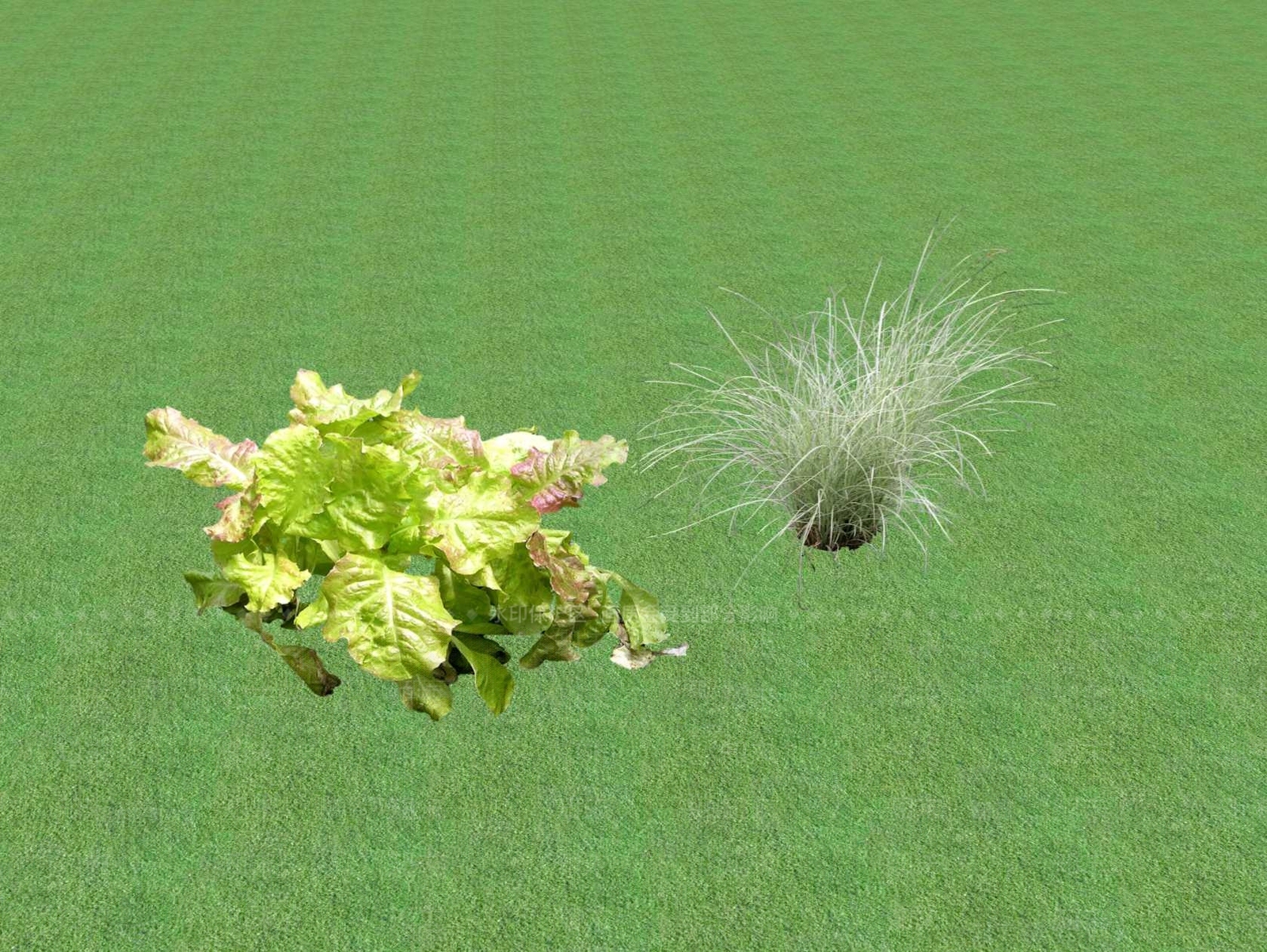 花草SU模型下载【ID:1201444599】