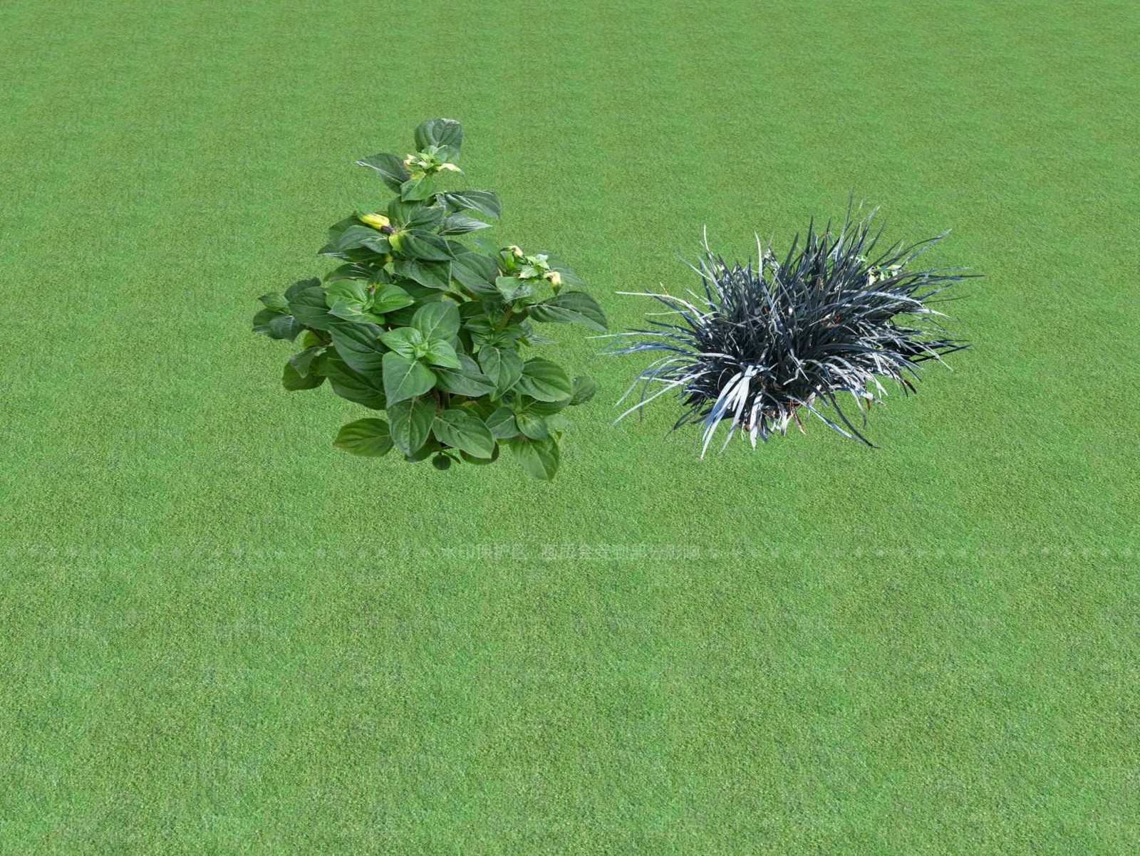 花草SU模型下载【ID:1201445211】