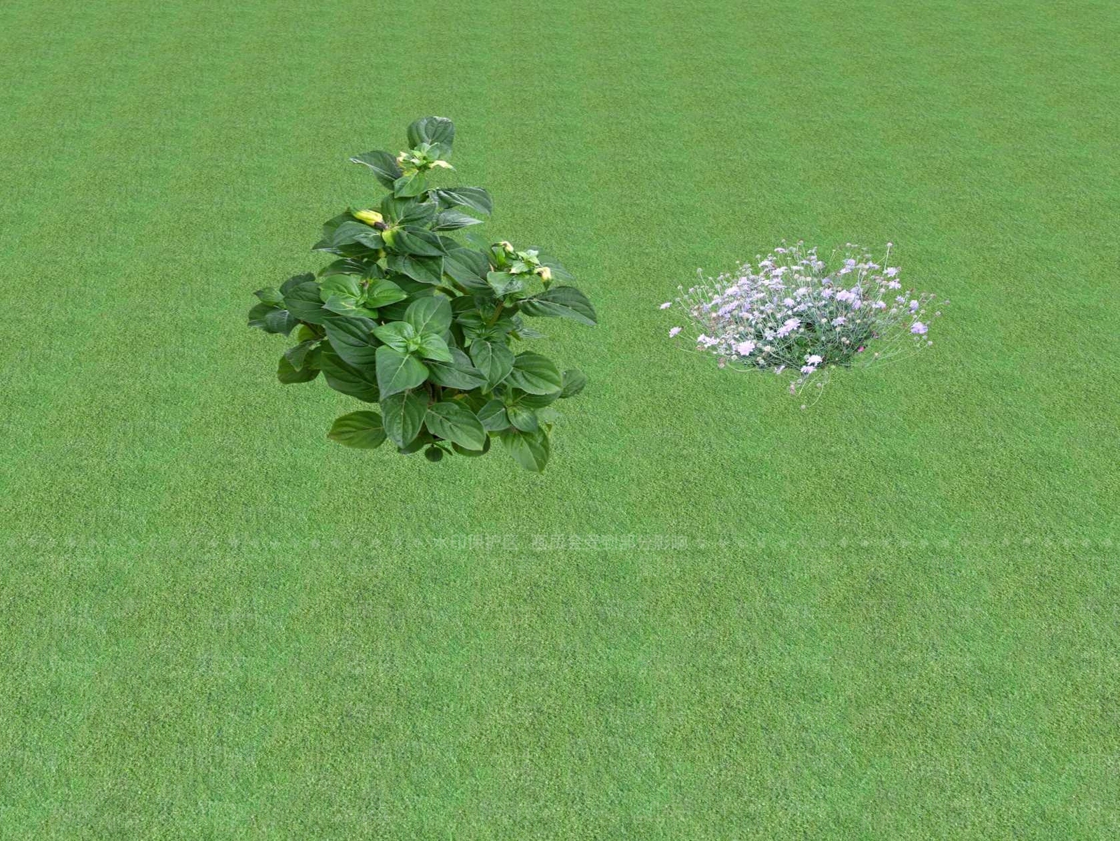 花草SU模型下载【ID:1201445226】