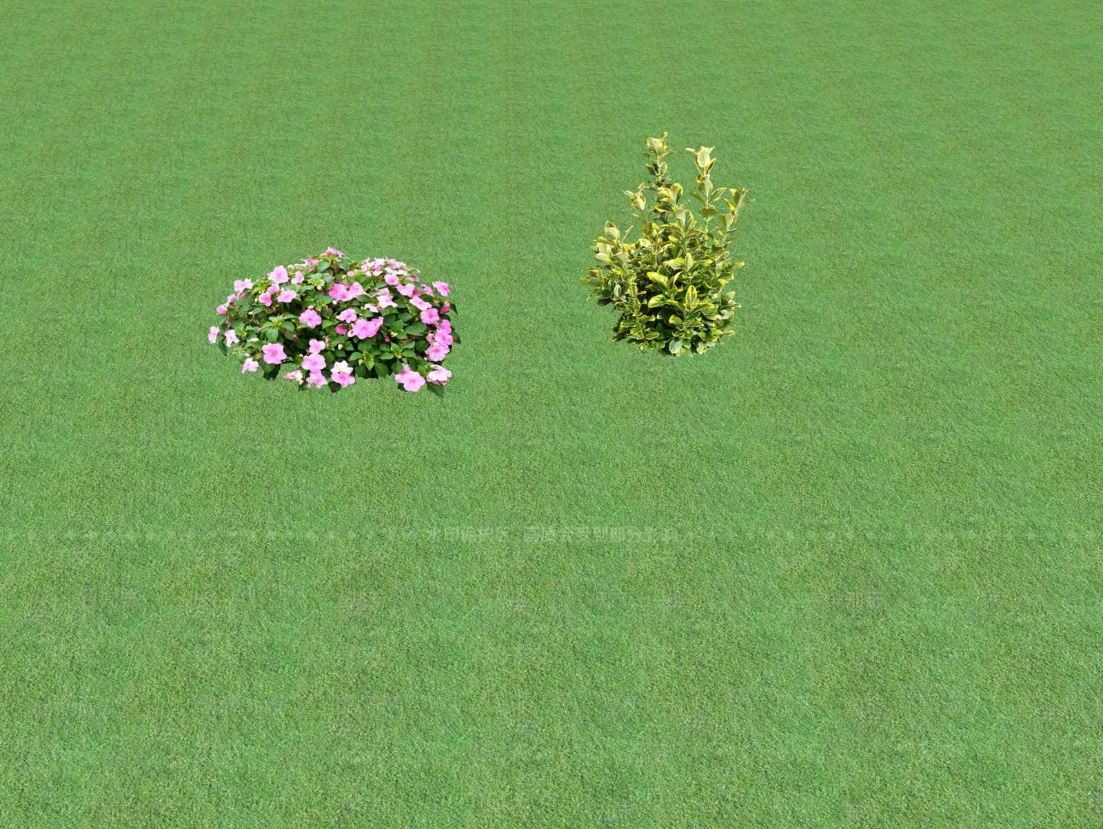 2D花草SU模型下载【ID:1201445673】