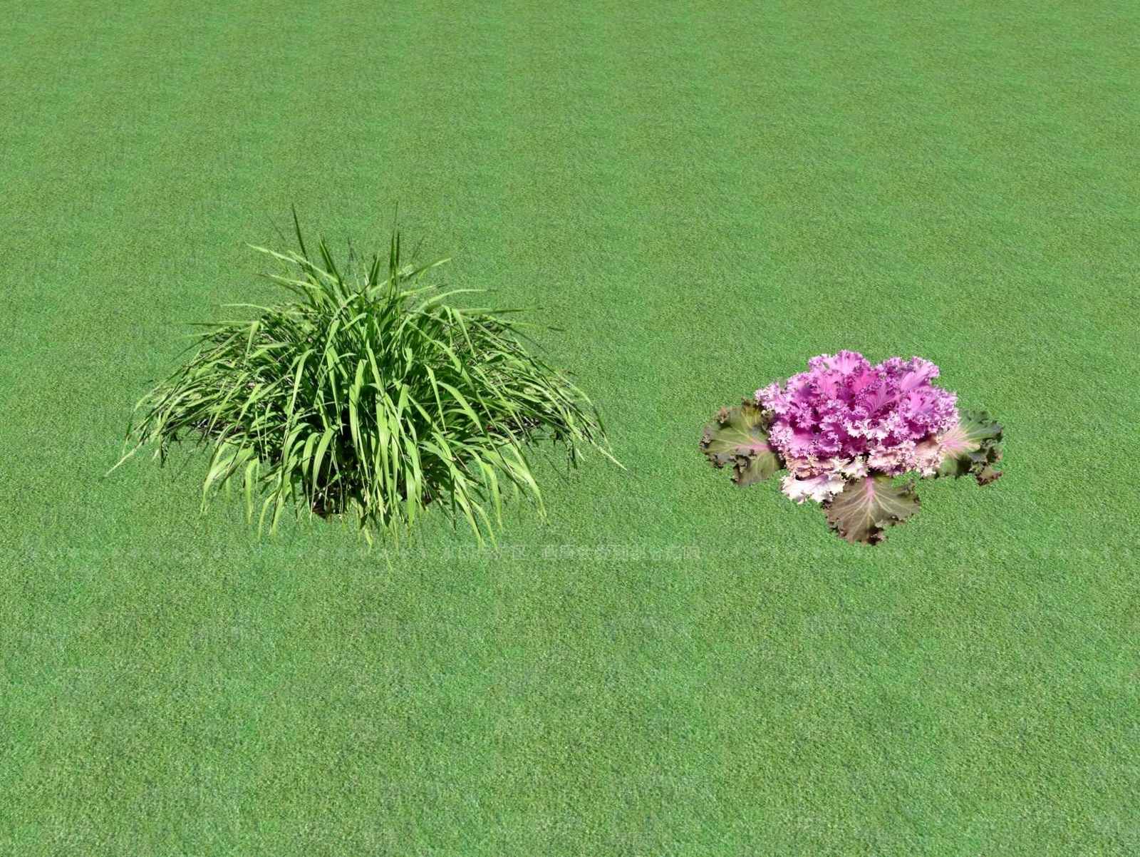 2D花草SU模型下载【ID:1201445689】