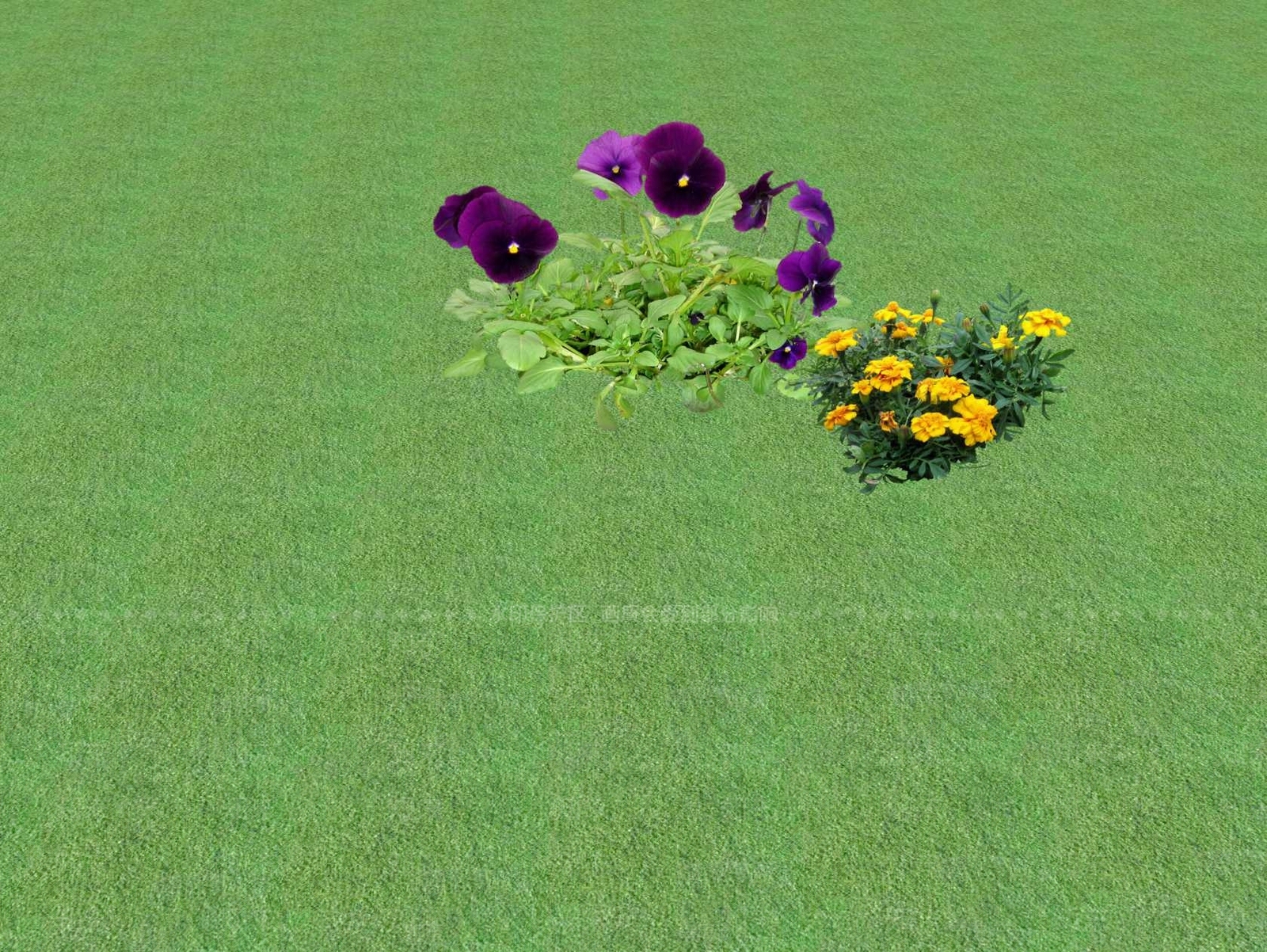 2D花草SU模型下载【ID:1201445782】