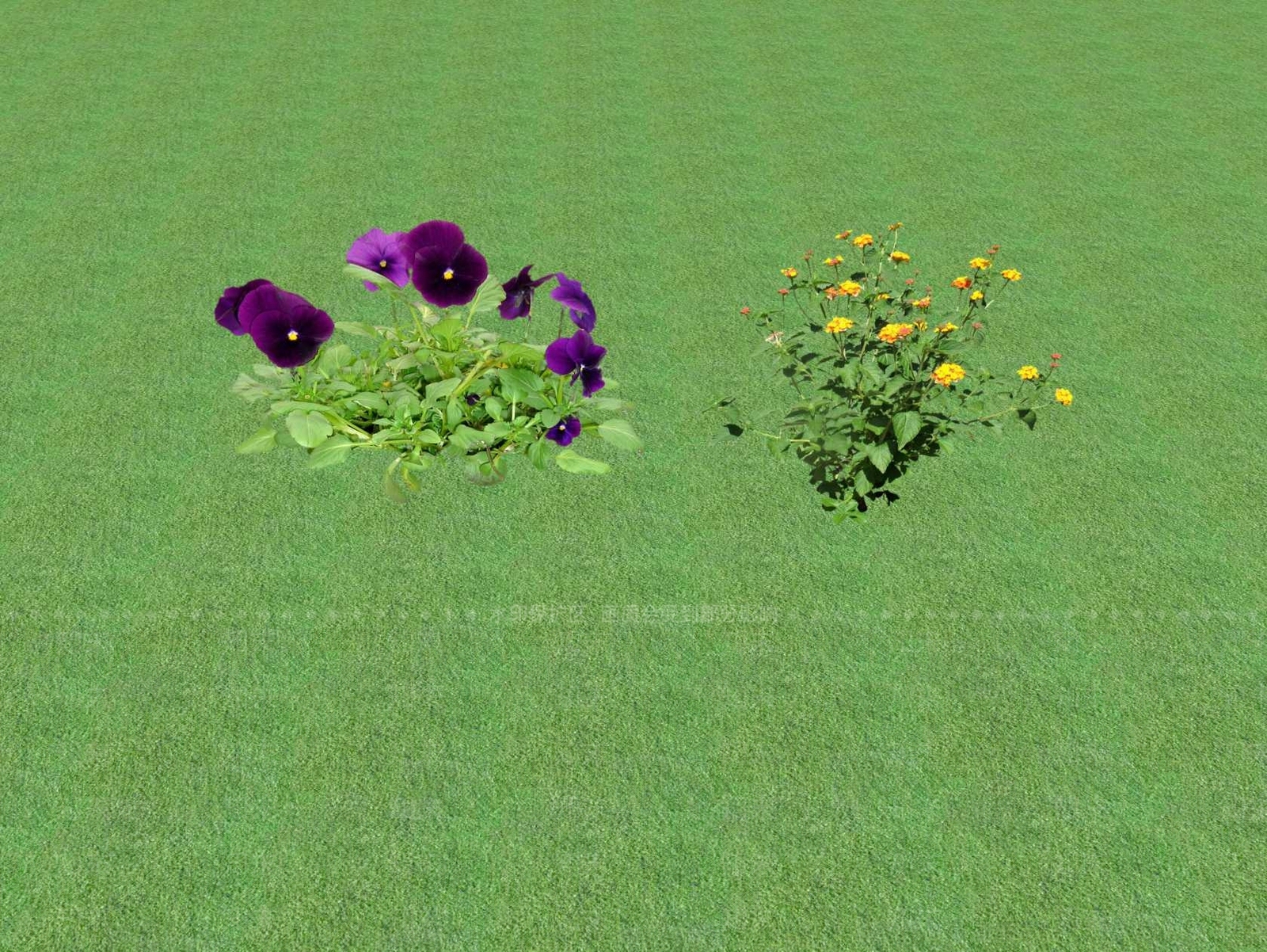 2D花草SU模型下载【ID:1201445795】