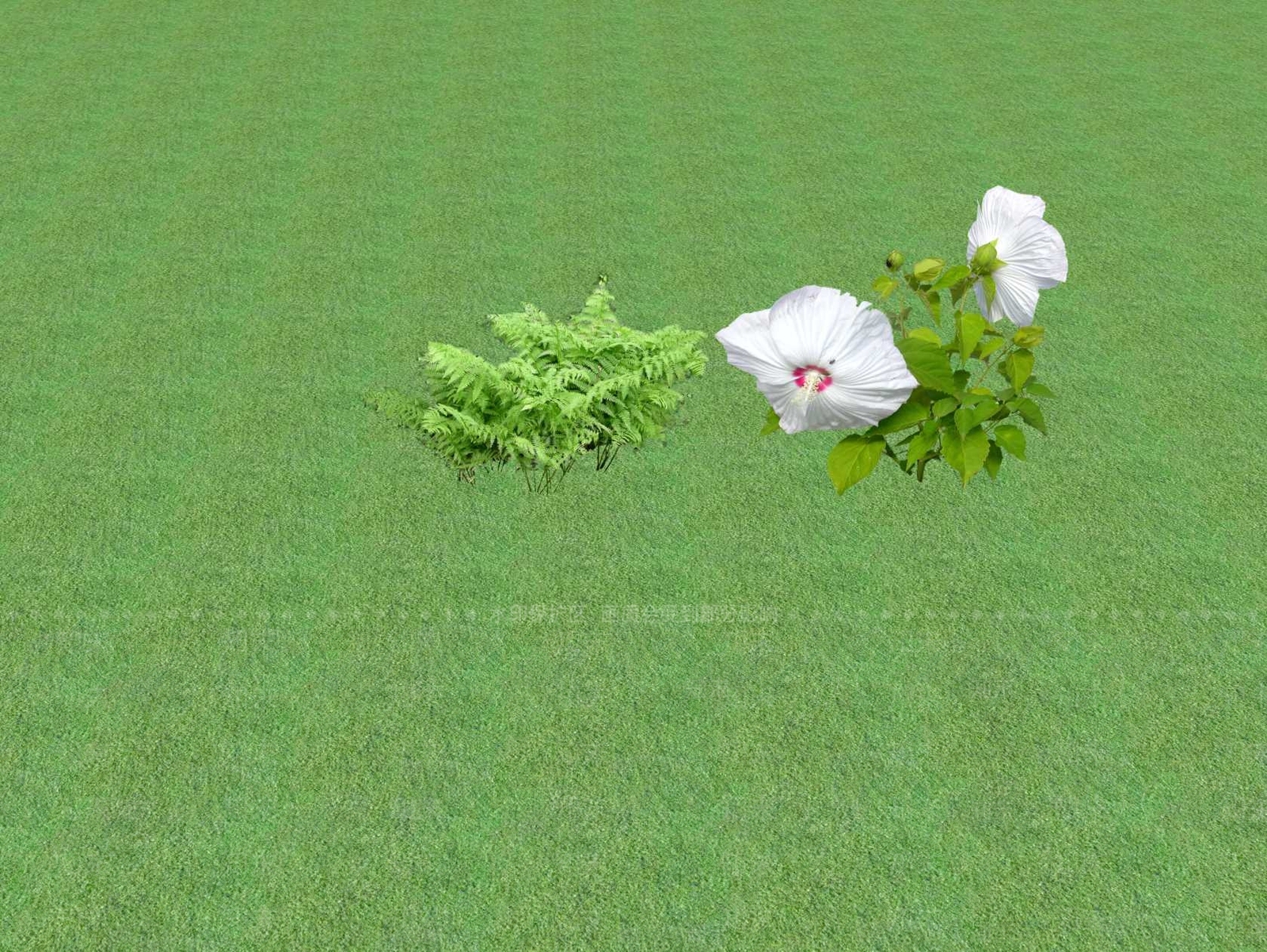 2D花草SU模型下载【ID:1201445769】