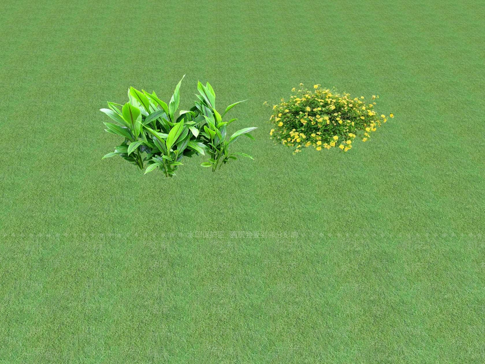 2D花草SU模型下载【ID:1201445833】