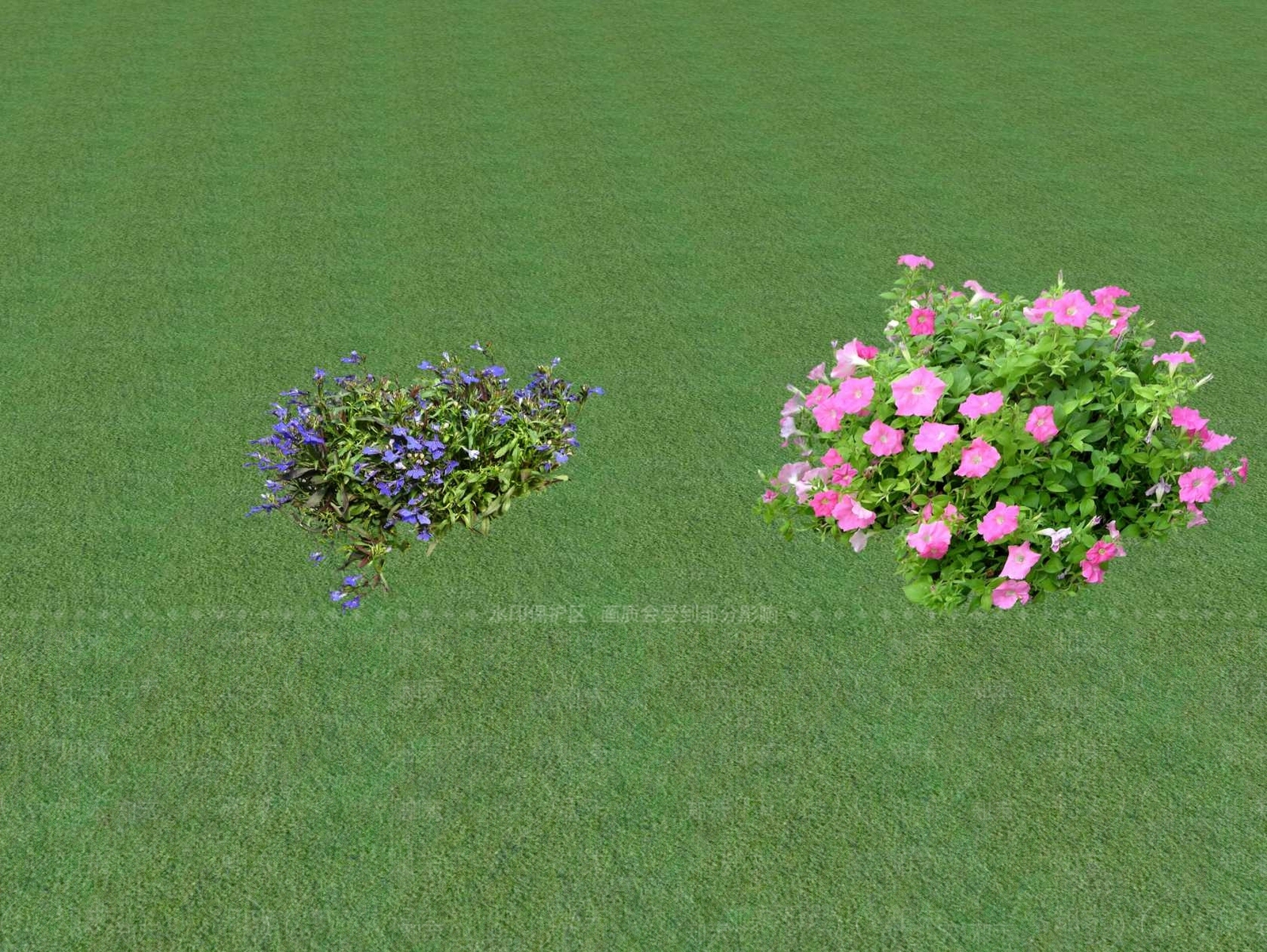 2D花草SU模型下载【ID:1201446255】