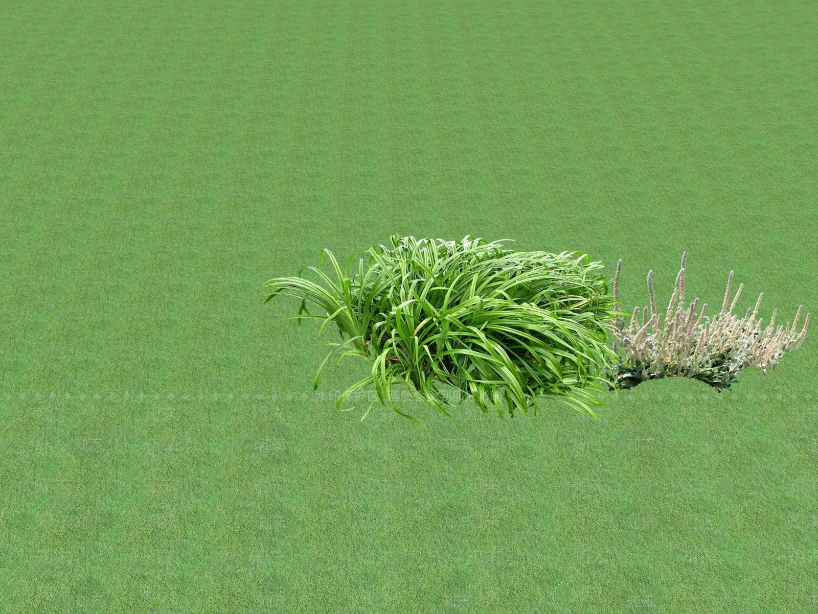 花草SU模型下载【ID:1201467130】