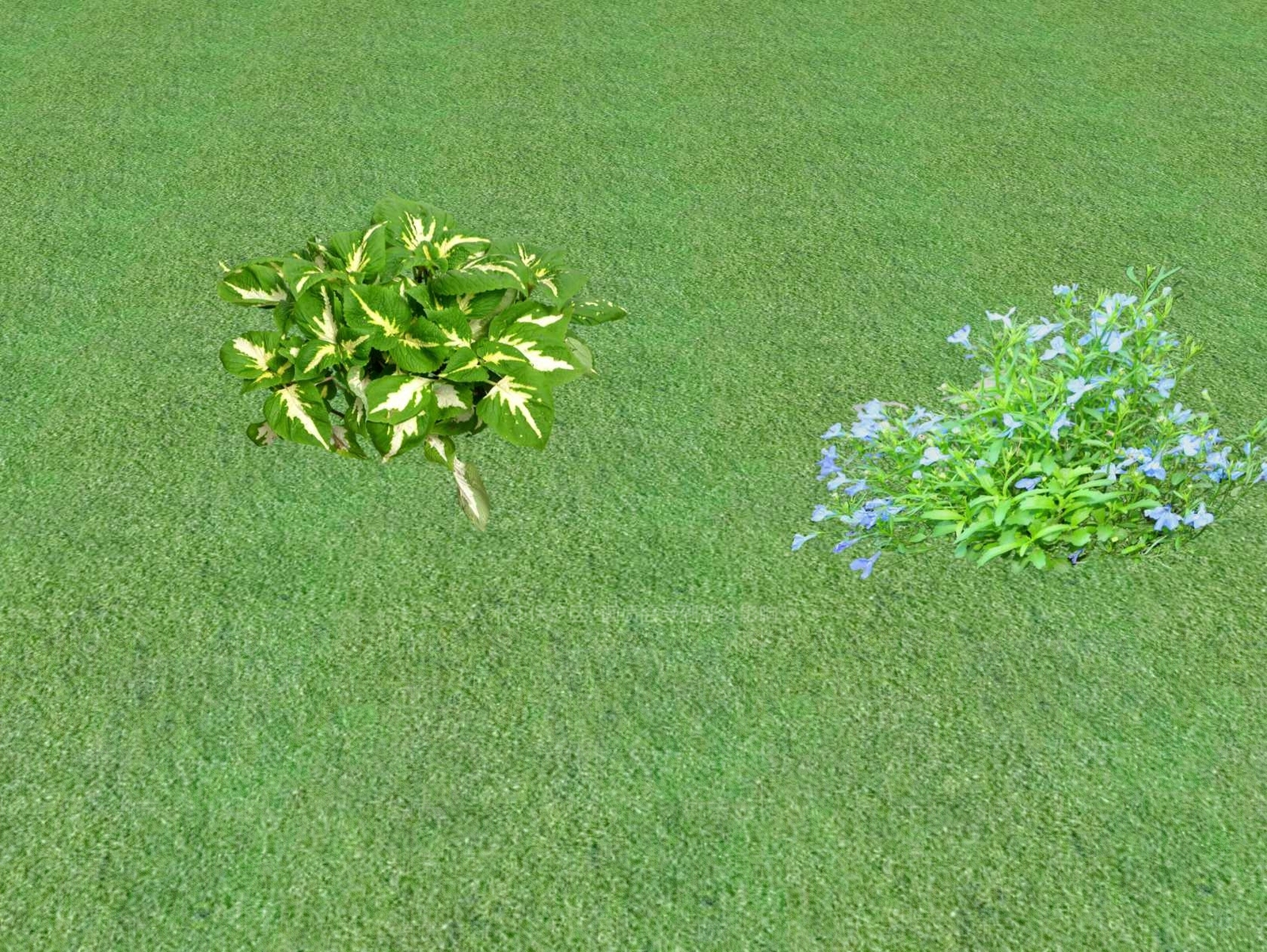 花草SU模型下载【ID:1201467531】