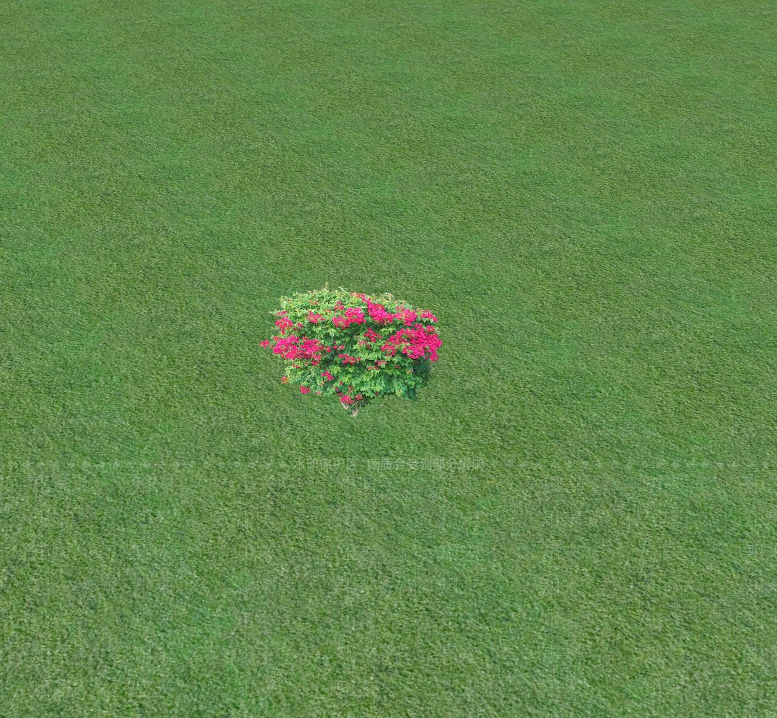 花草SU模型下载【ID:1201468343】