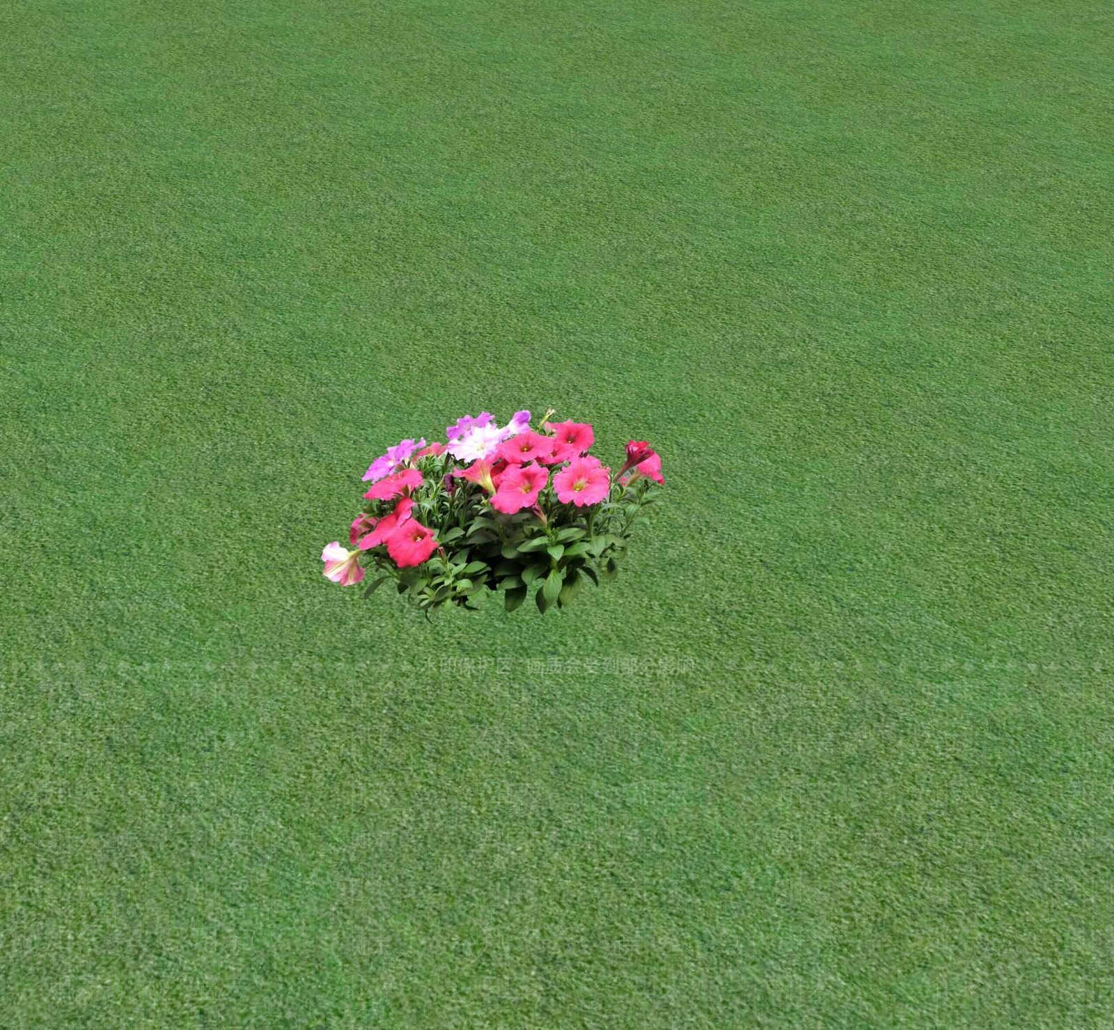 花草SU模型下载【ID:1201468336】
