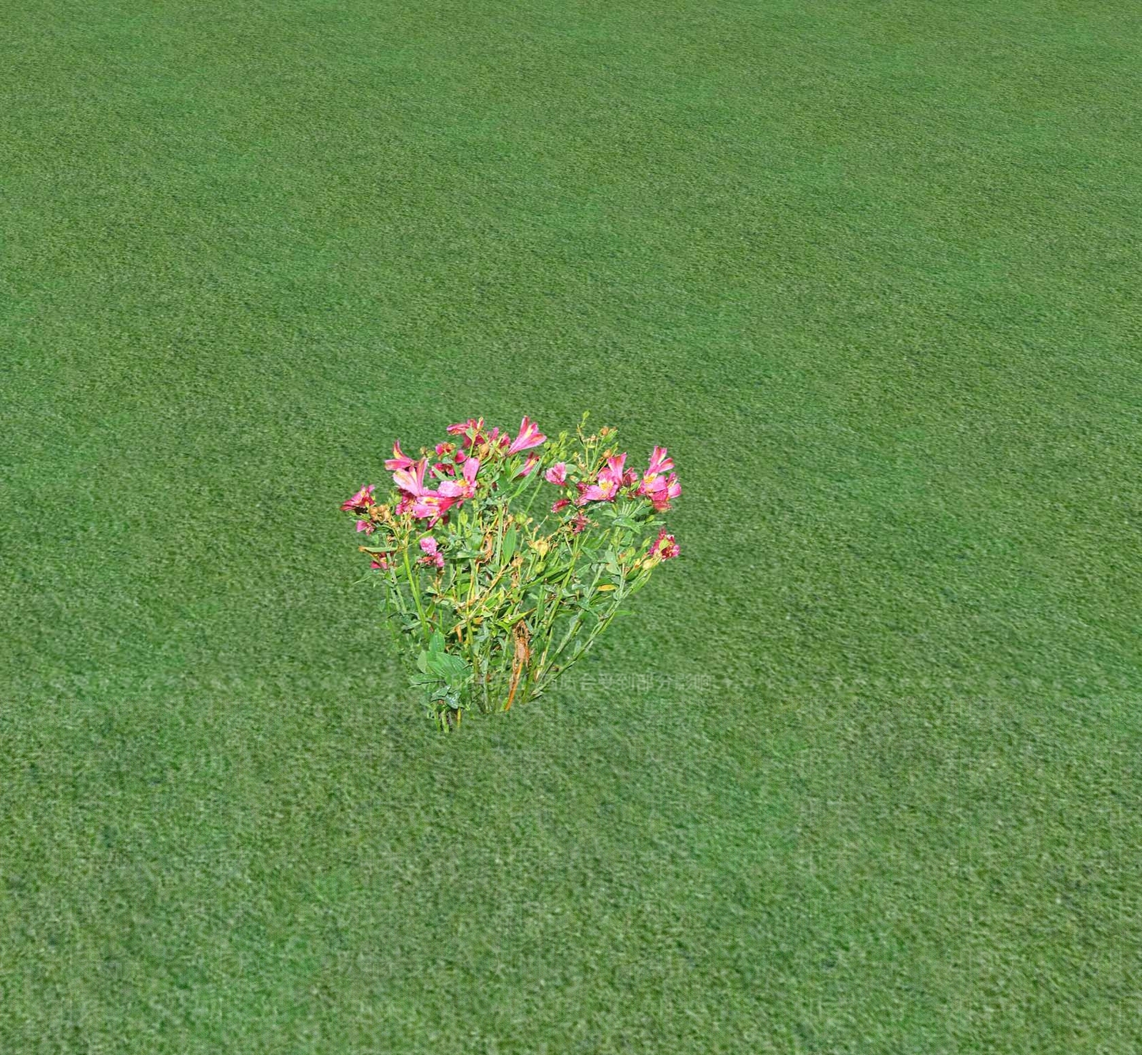 花草SU模型下载【ID:1201468481】