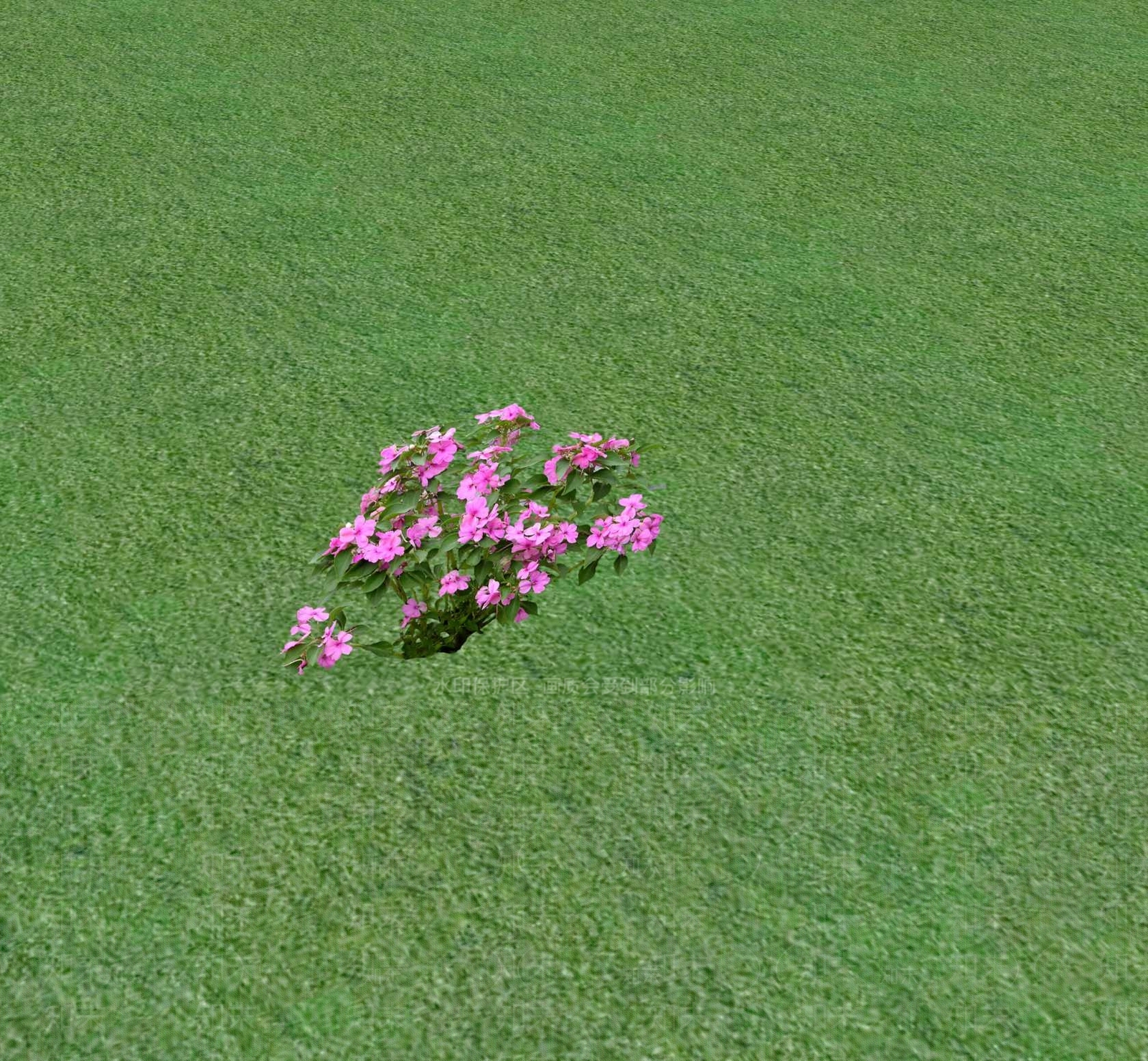 花草SU模型下载【ID:1201468473】