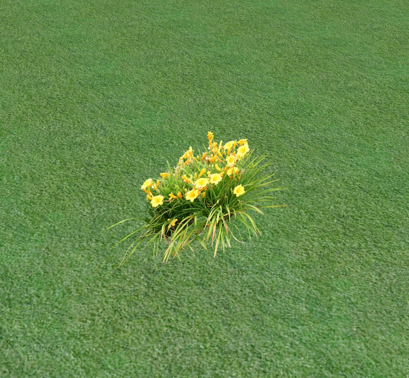花草SU模型下载【ID:1201468495】