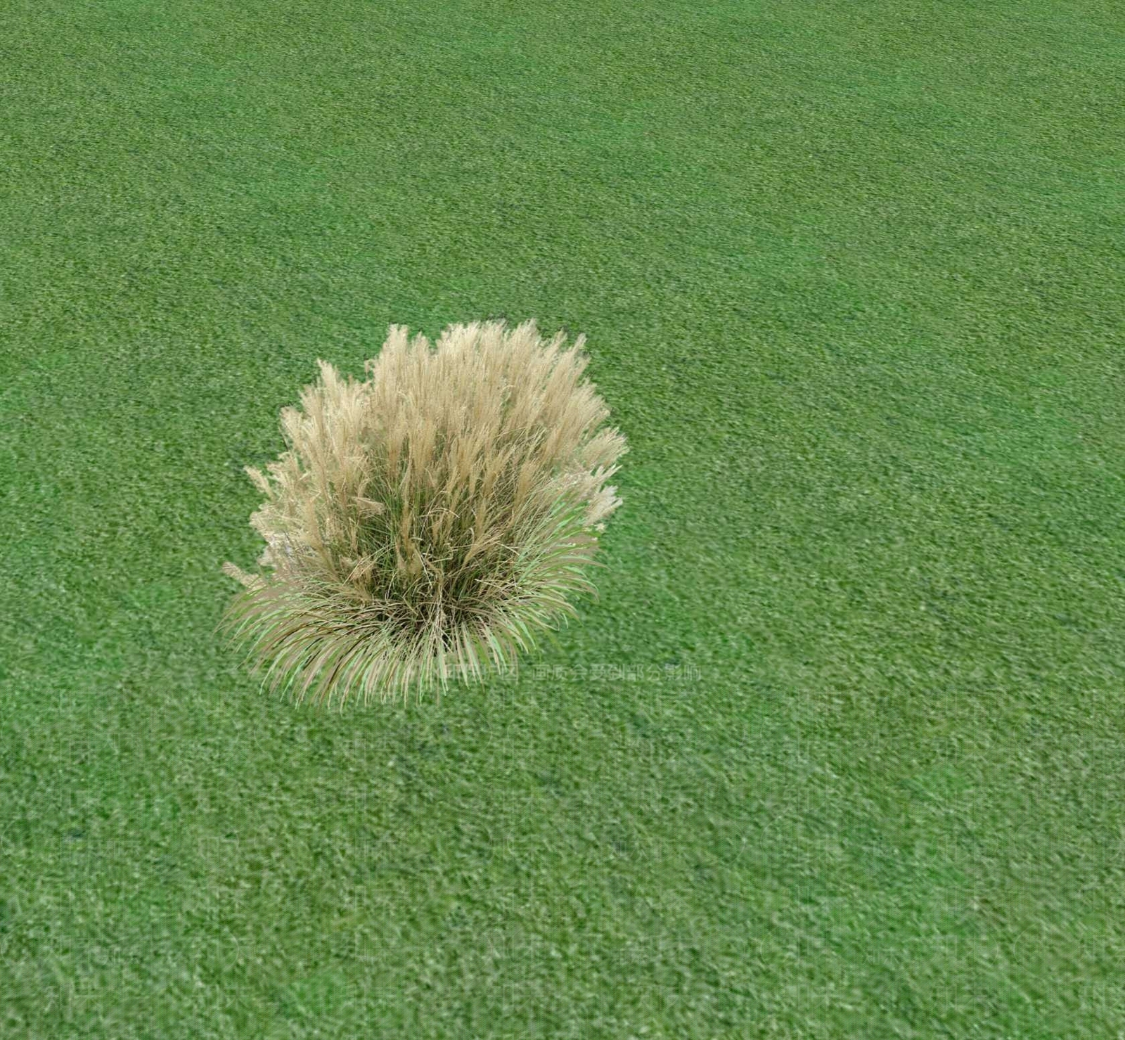 花草SU模型下载【ID:1201468428】