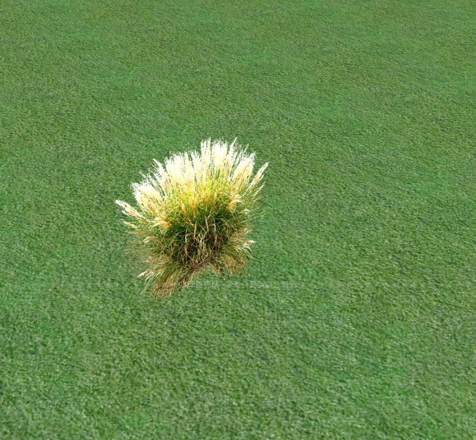 花草SU模型下载【ID:1201468501】