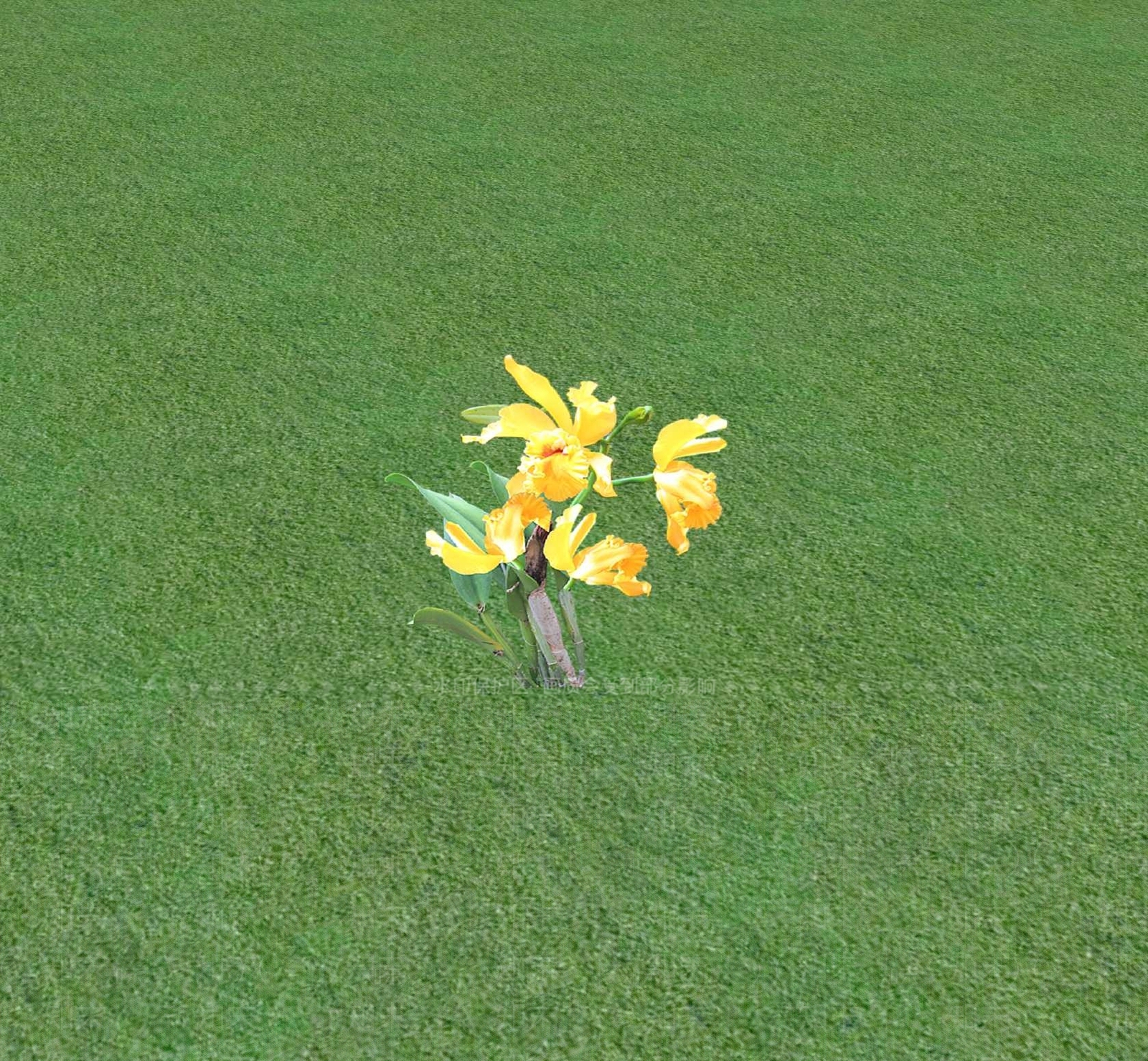 花草SU模型下载【ID:1201468730】