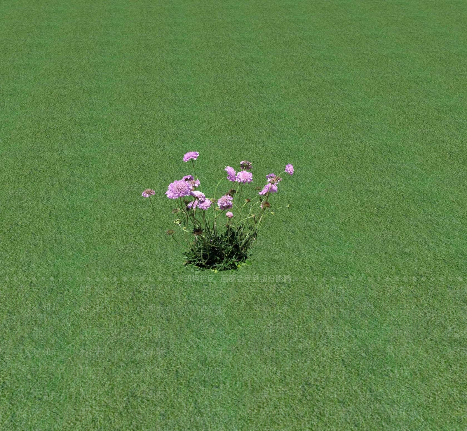 花草SU模型下载【ID:1201468726】