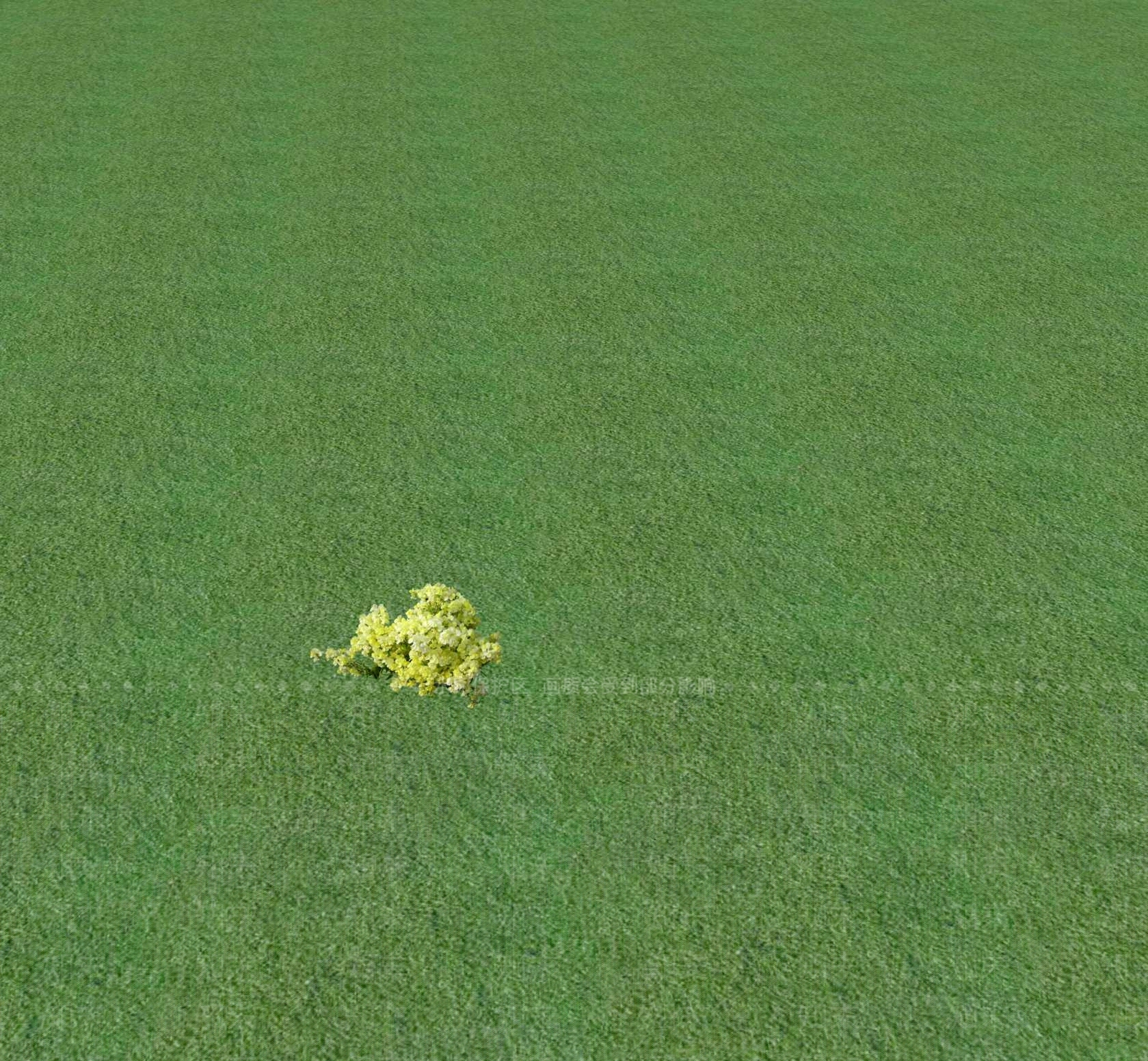 花草SU模型下载【ID:1201468758】