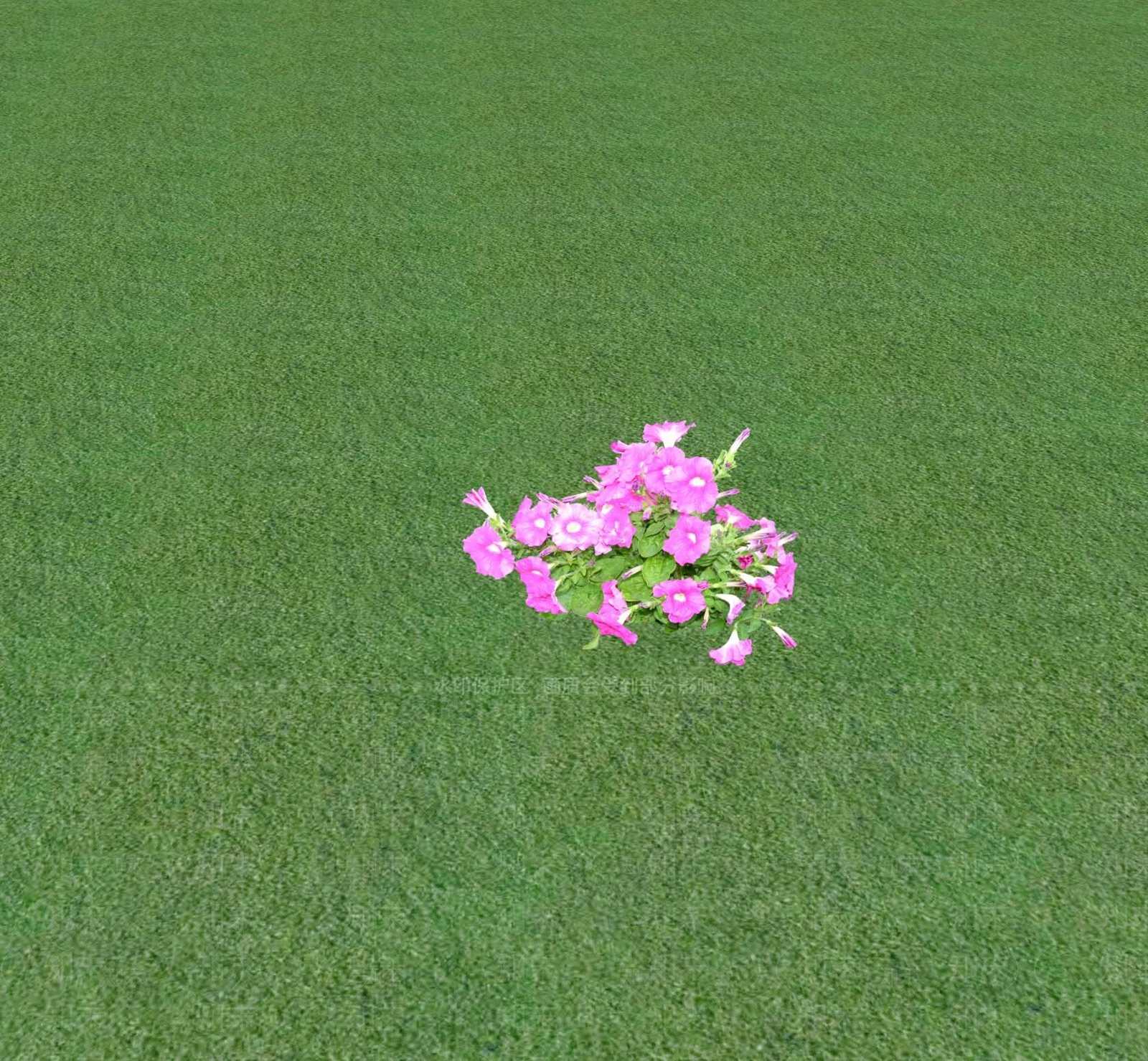 花草SU模型下载【ID:1201468880】