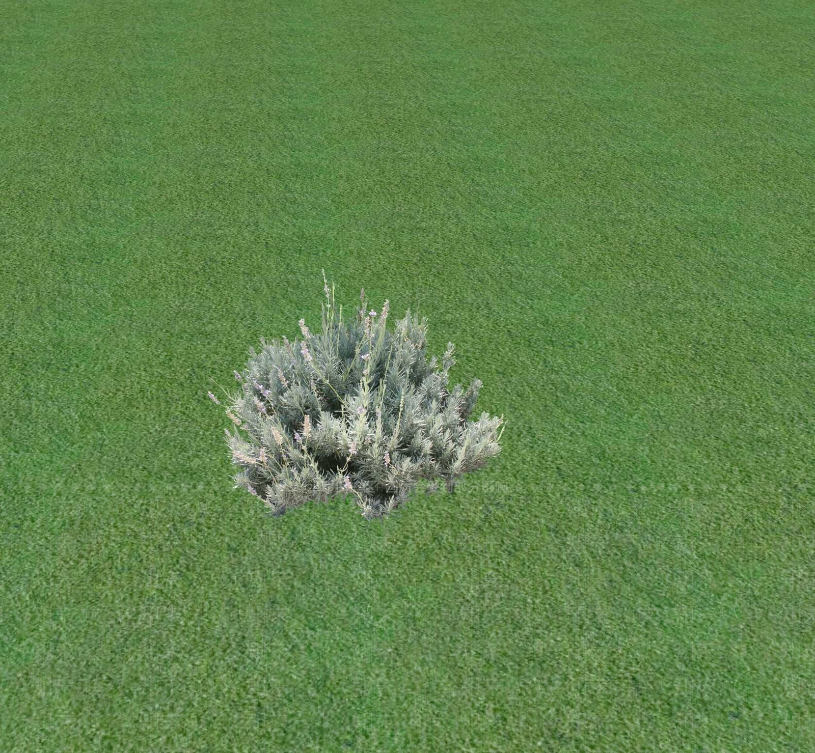 花草SU模型下载【ID:1201468804】