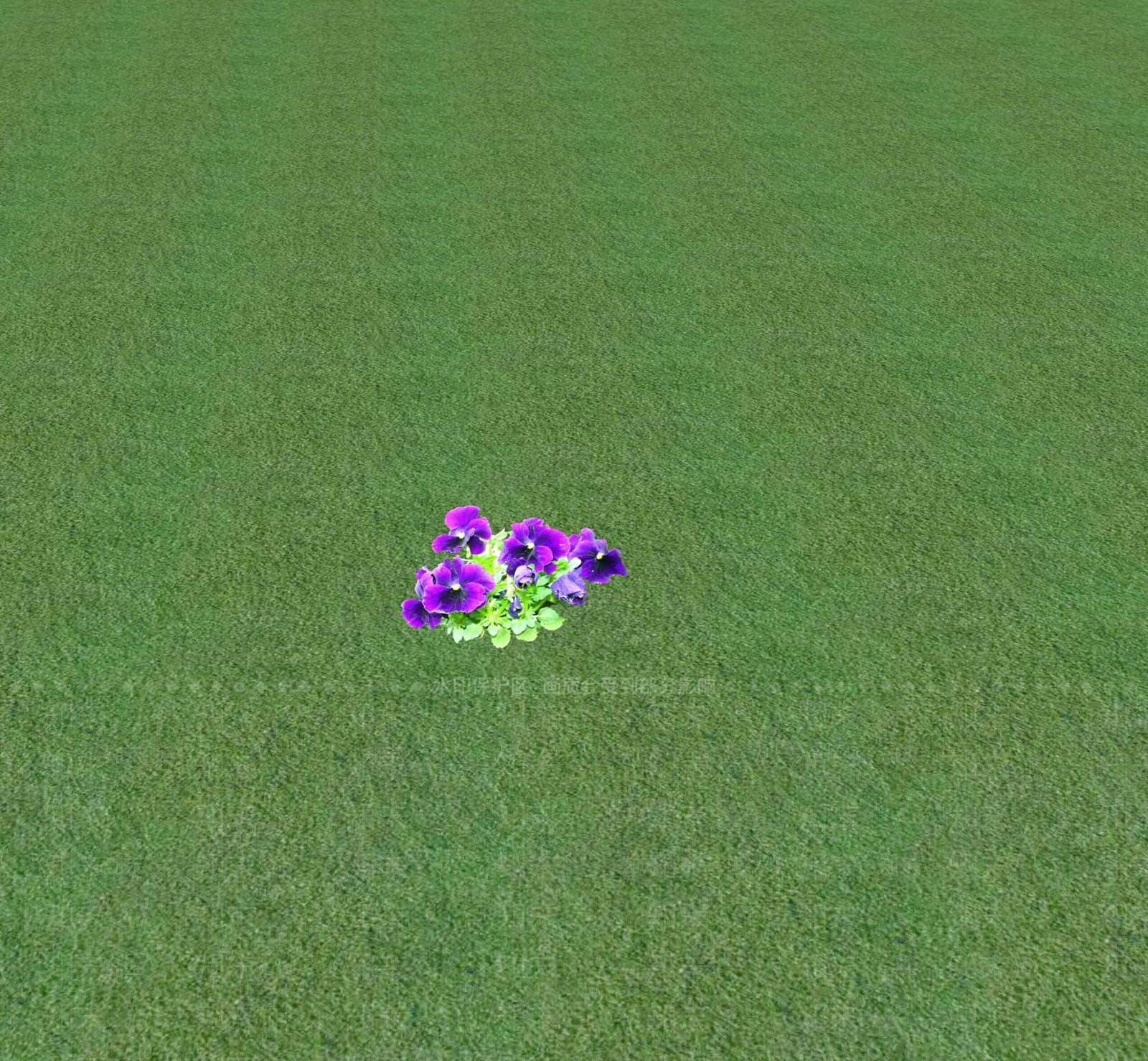 花草SU模型下载【ID:1201468941】