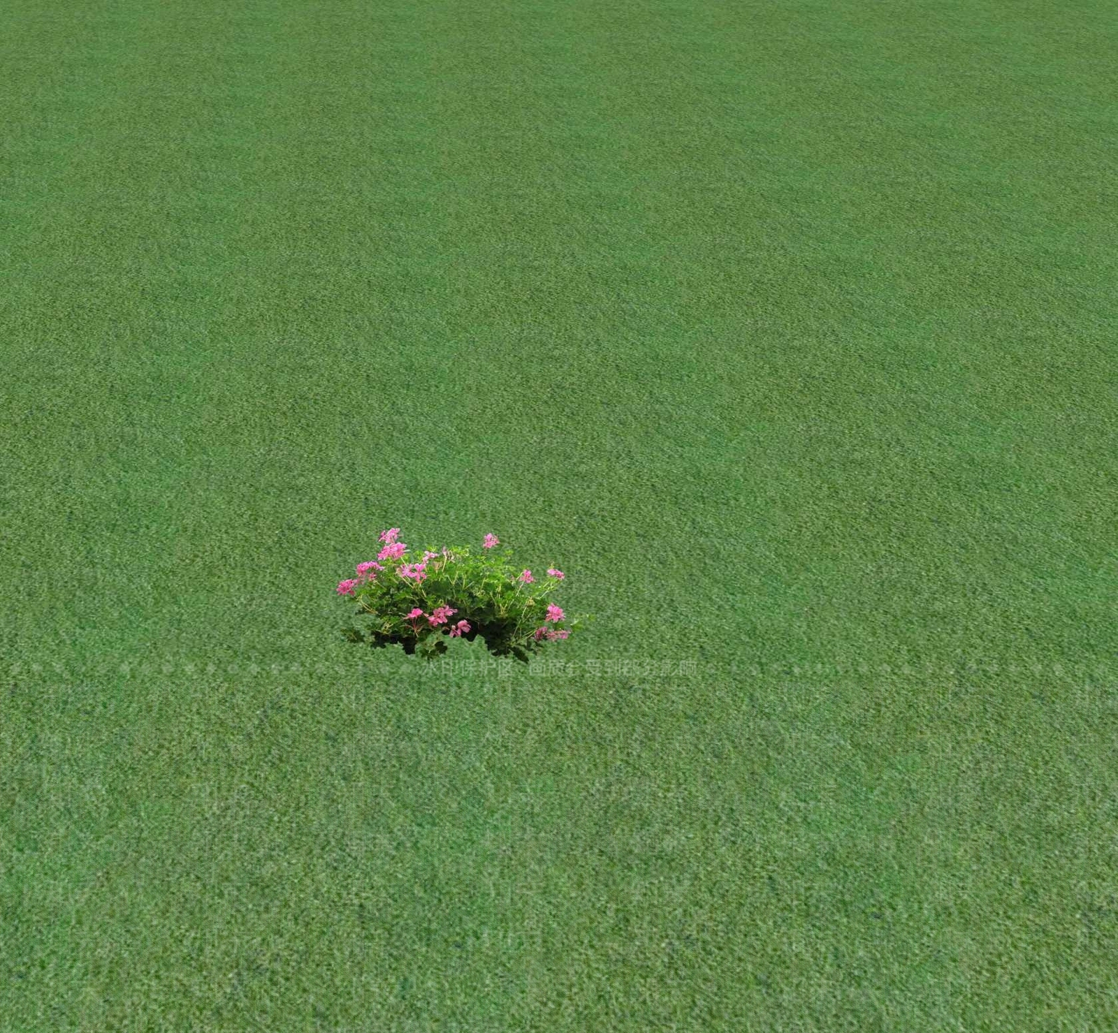 花草SU模型下载【ID:1201468943】
