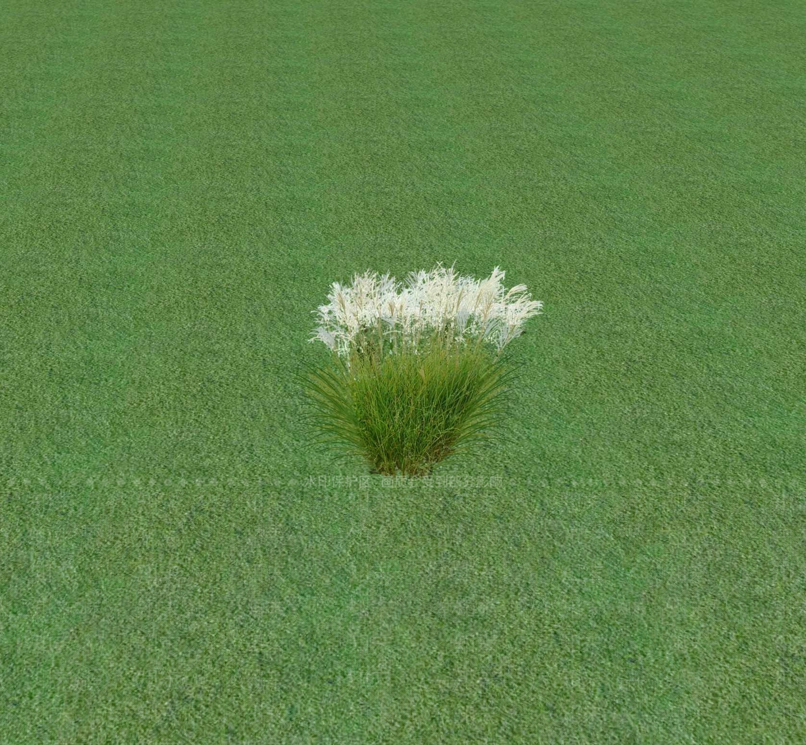 花草SU模型下载【ID:1201468995】