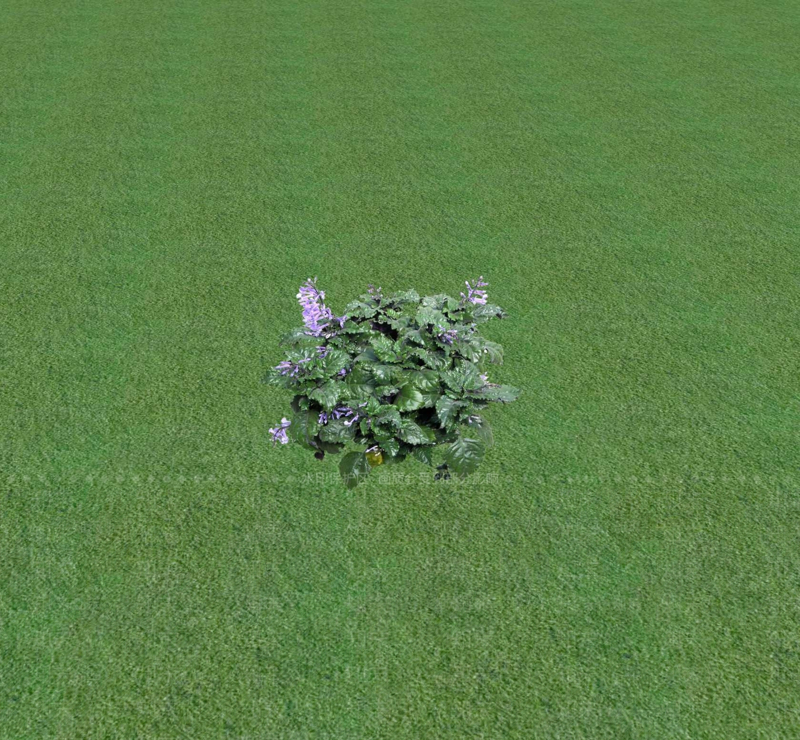 花草SU模型下载【ID:1201468977】