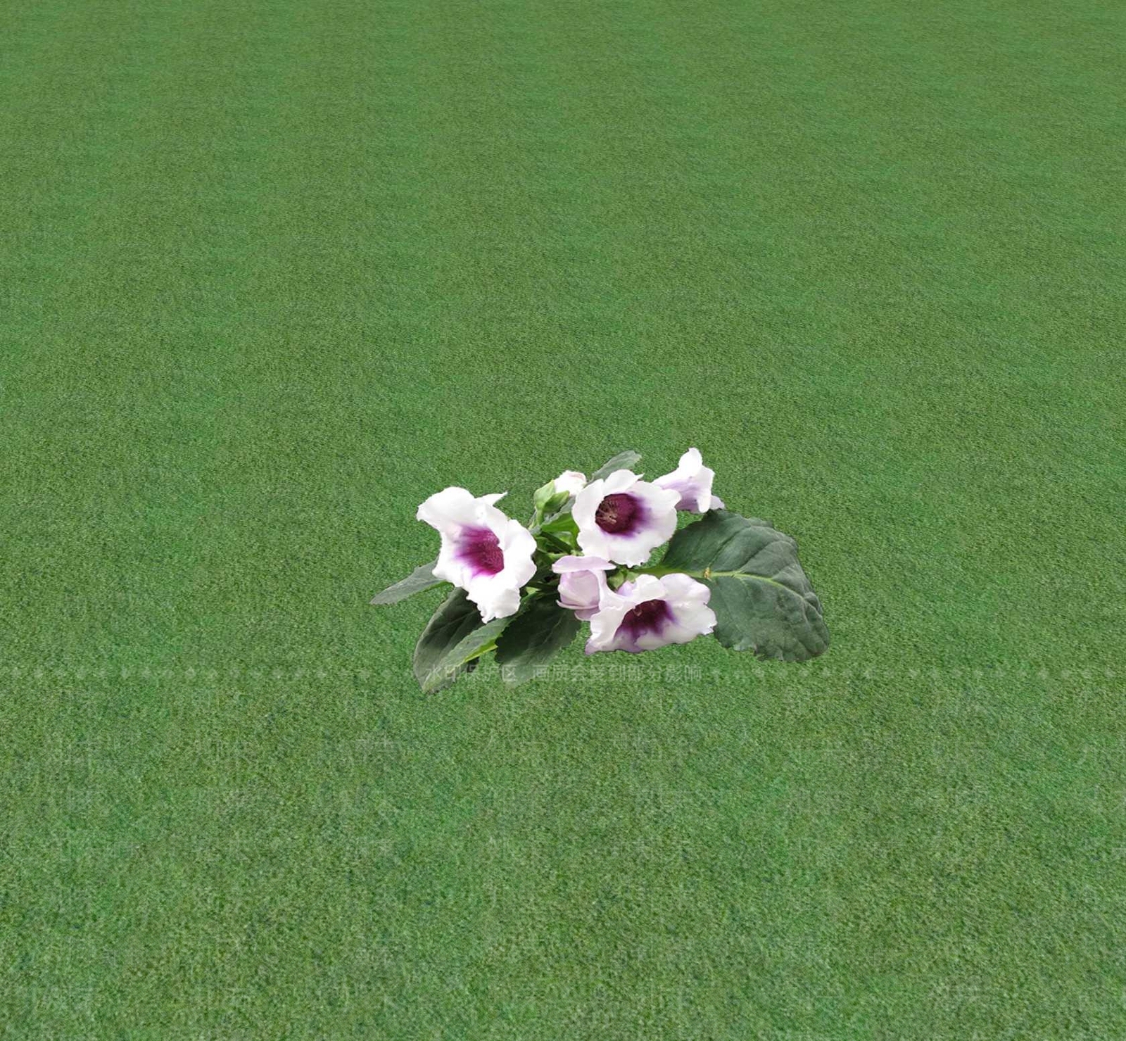 花草SU模型下载【ID:1201468908】