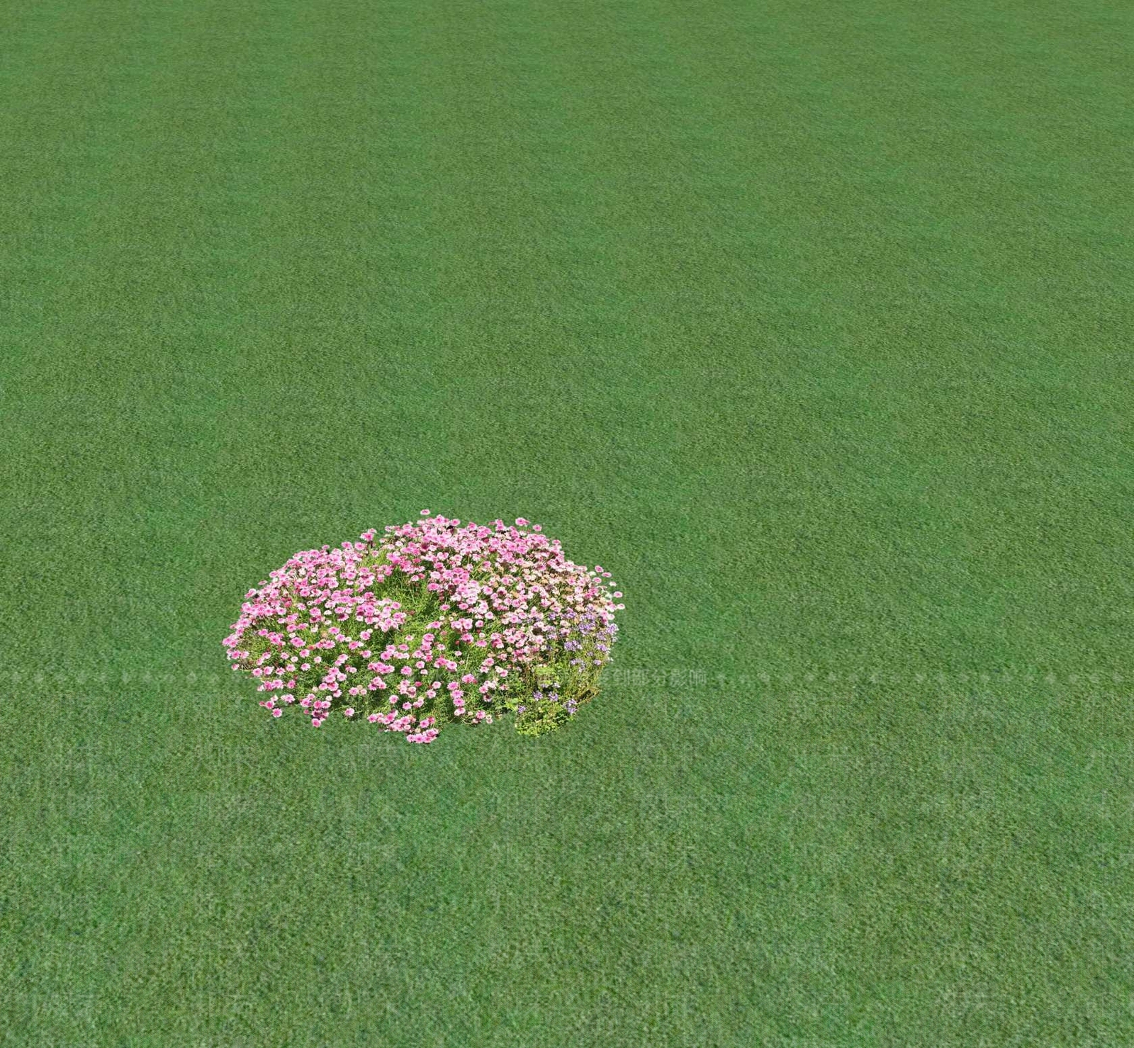 花草SU模型下载【ID:1201469070】