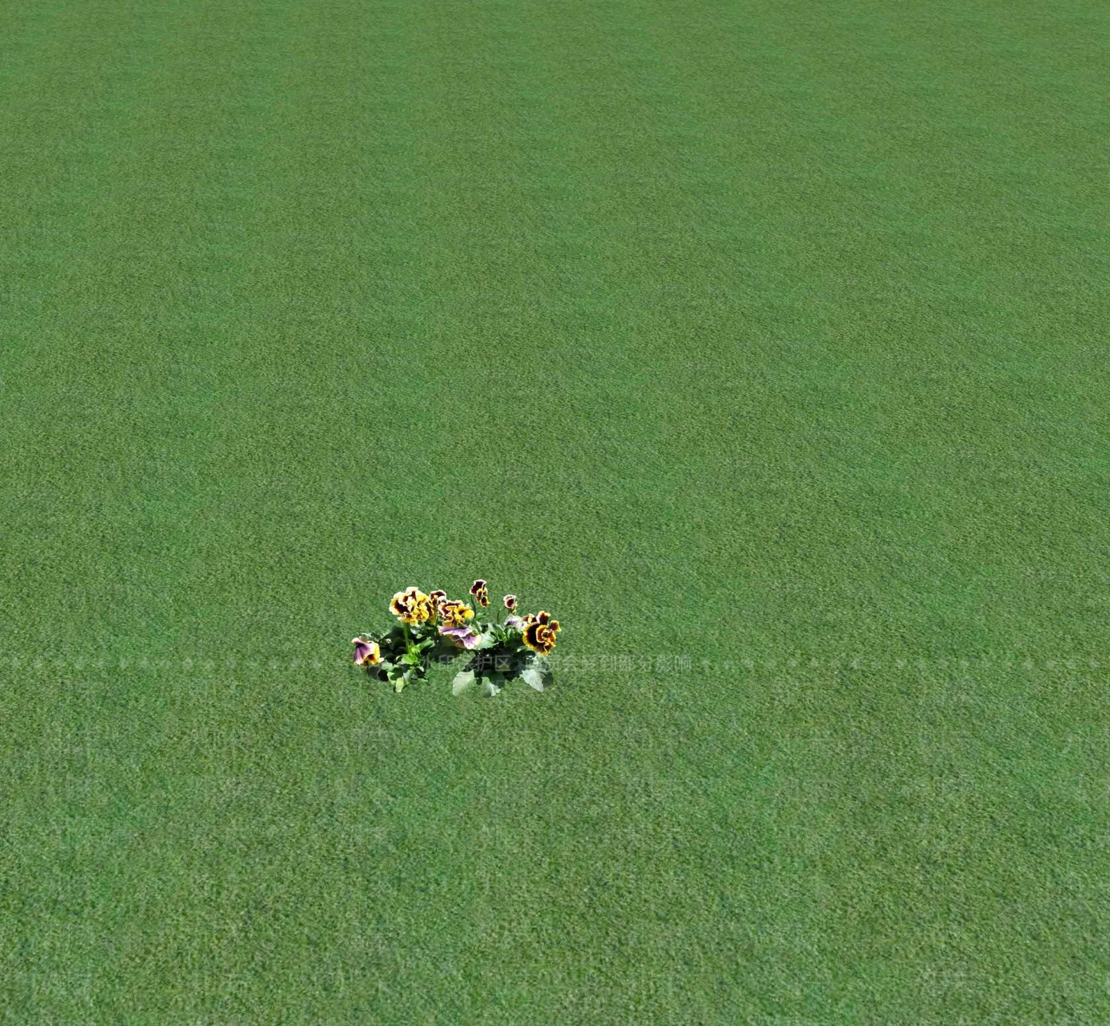 花草SU模型下载【ID:1201469001】