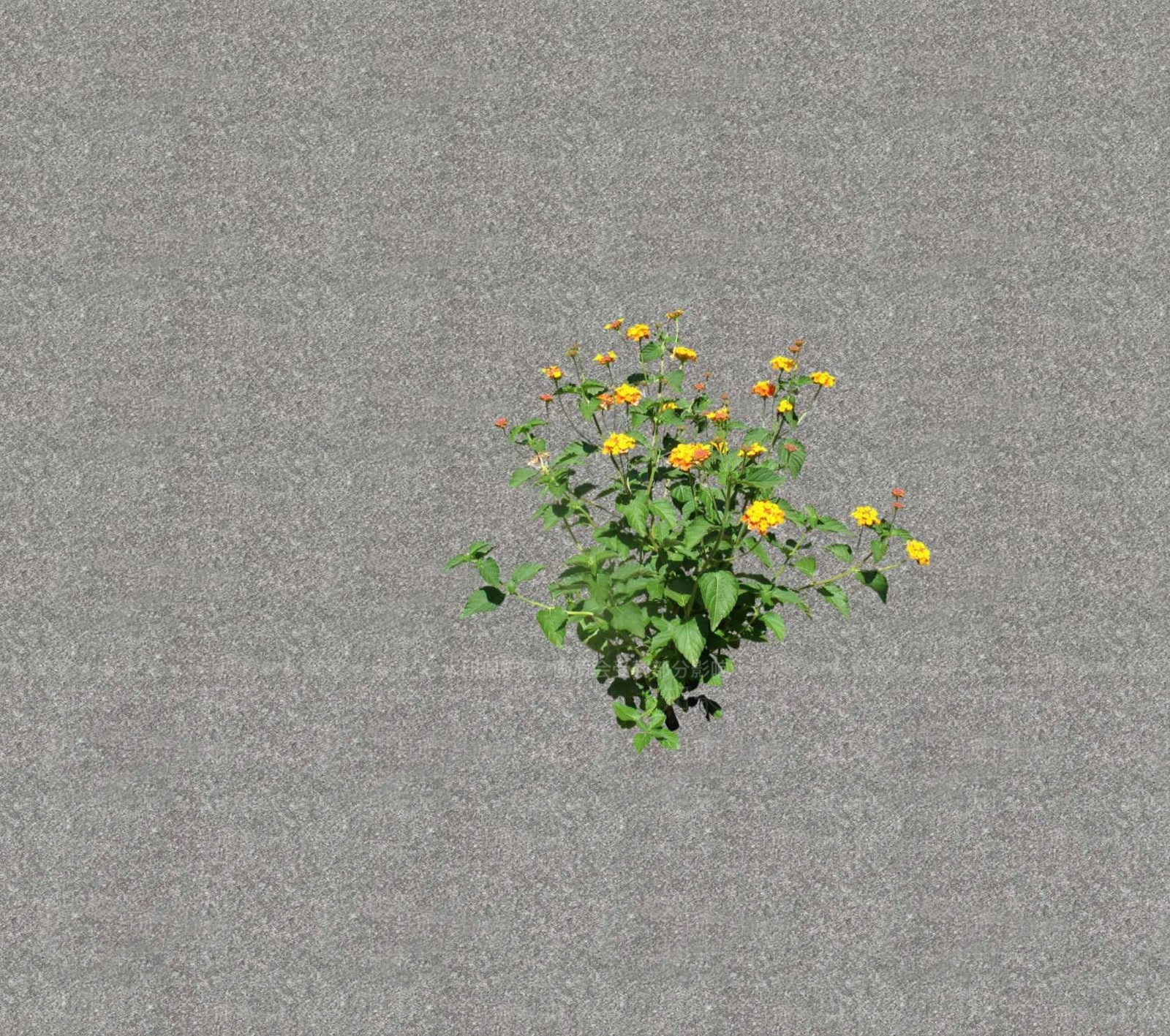 花草SU模型下载【ID:1201469049】