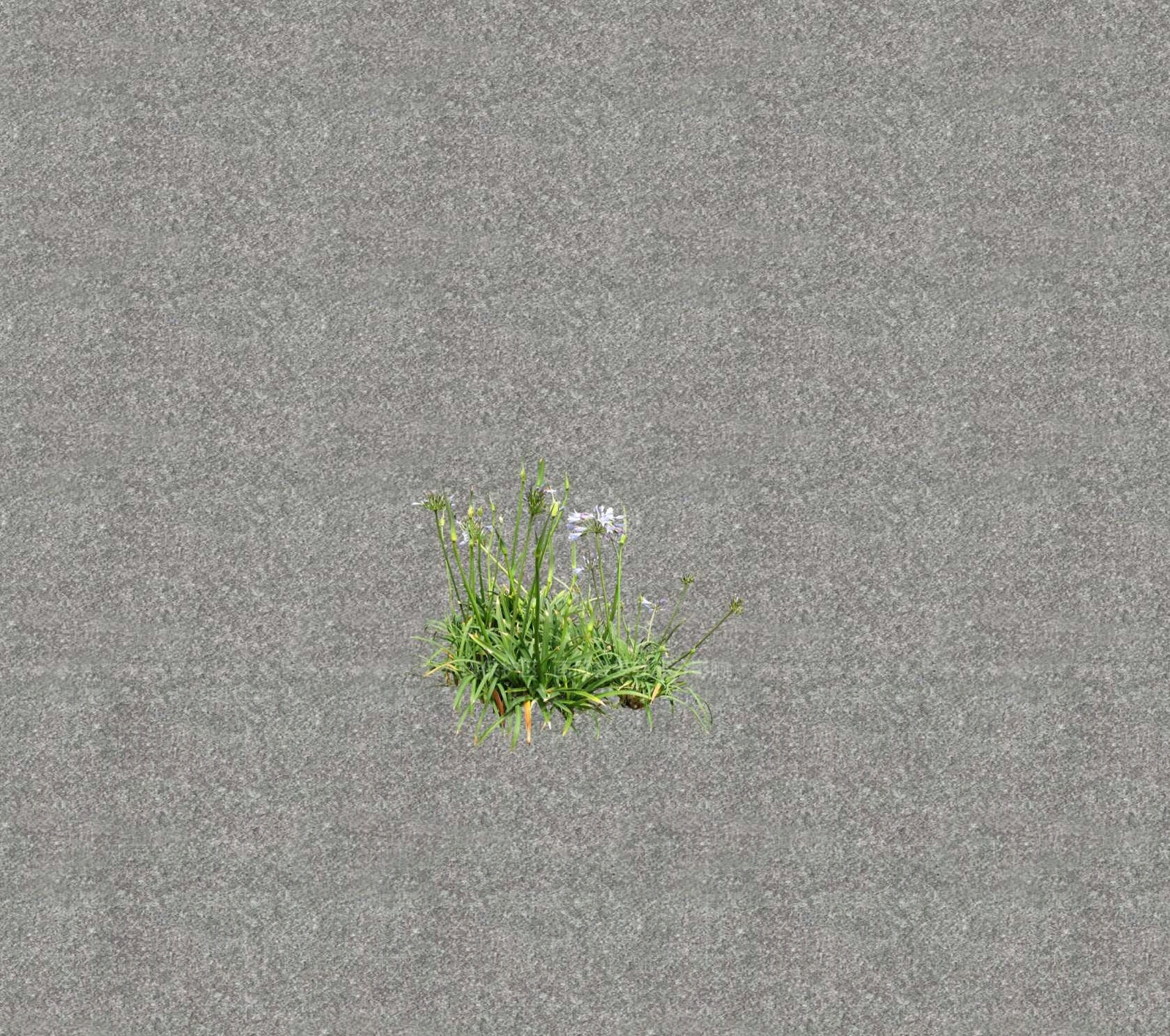 花草SU模型下载【ID:1201469183】